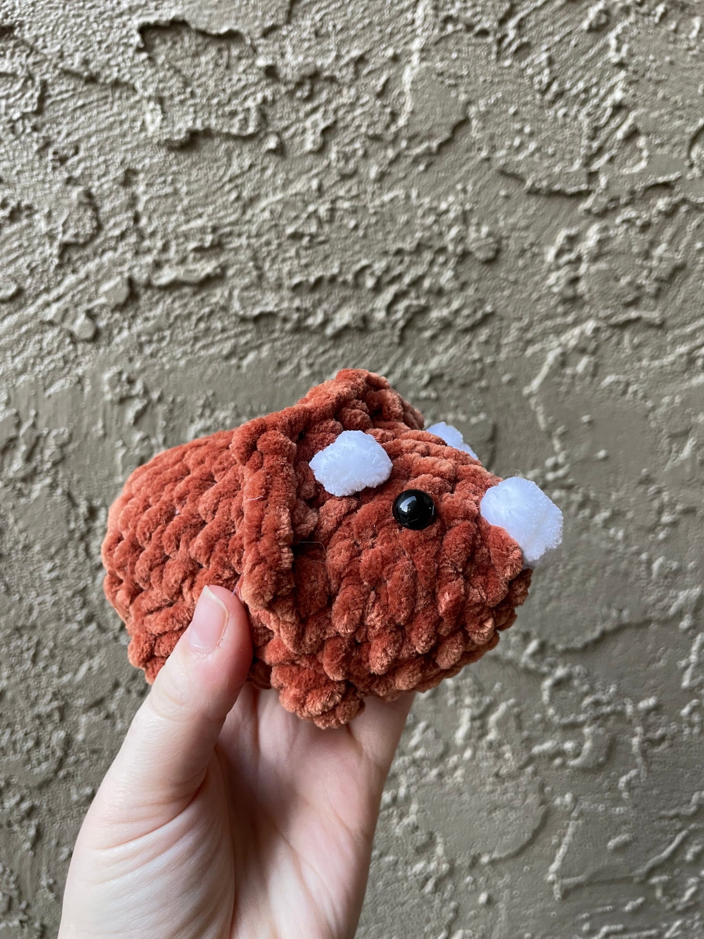 Triceratops