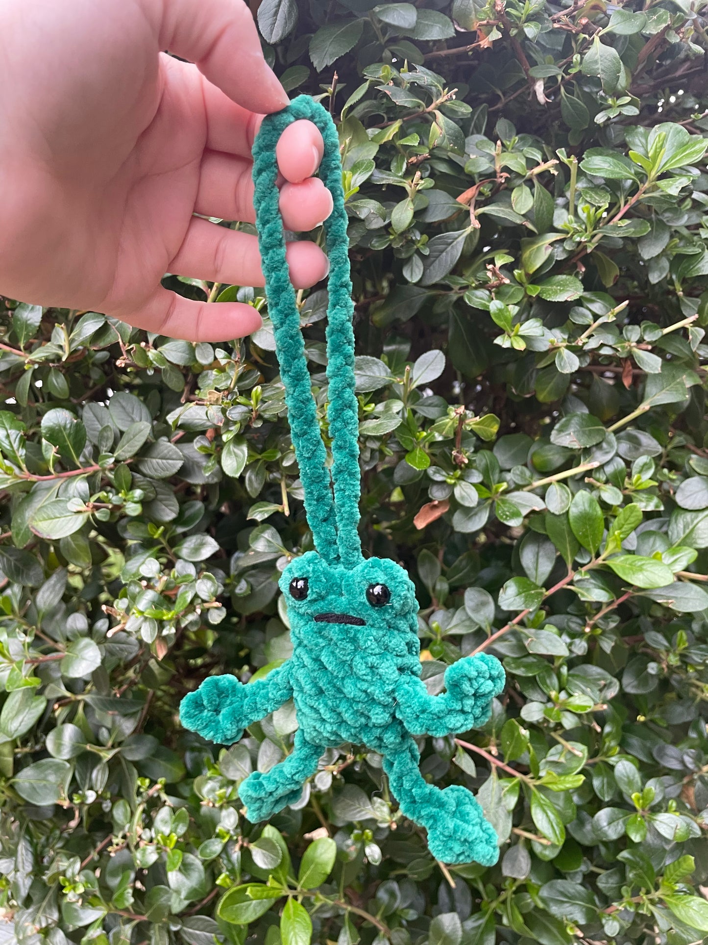 Leggy Frog Car Charm