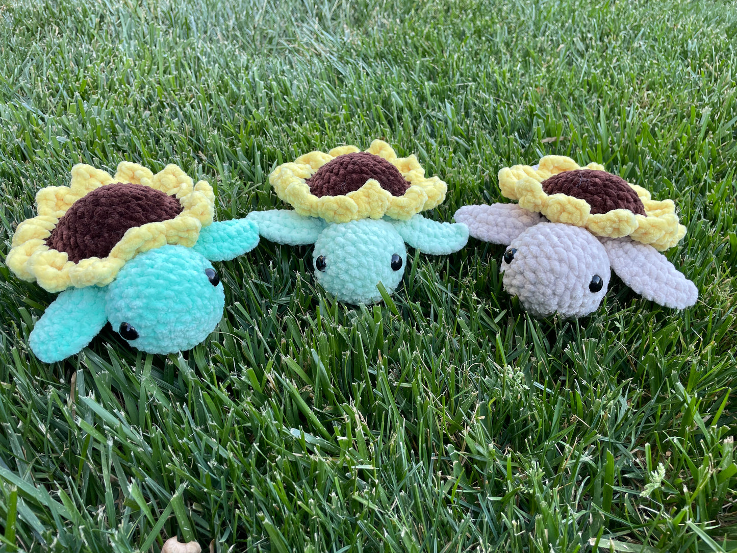 Small Sunflower Turtle
