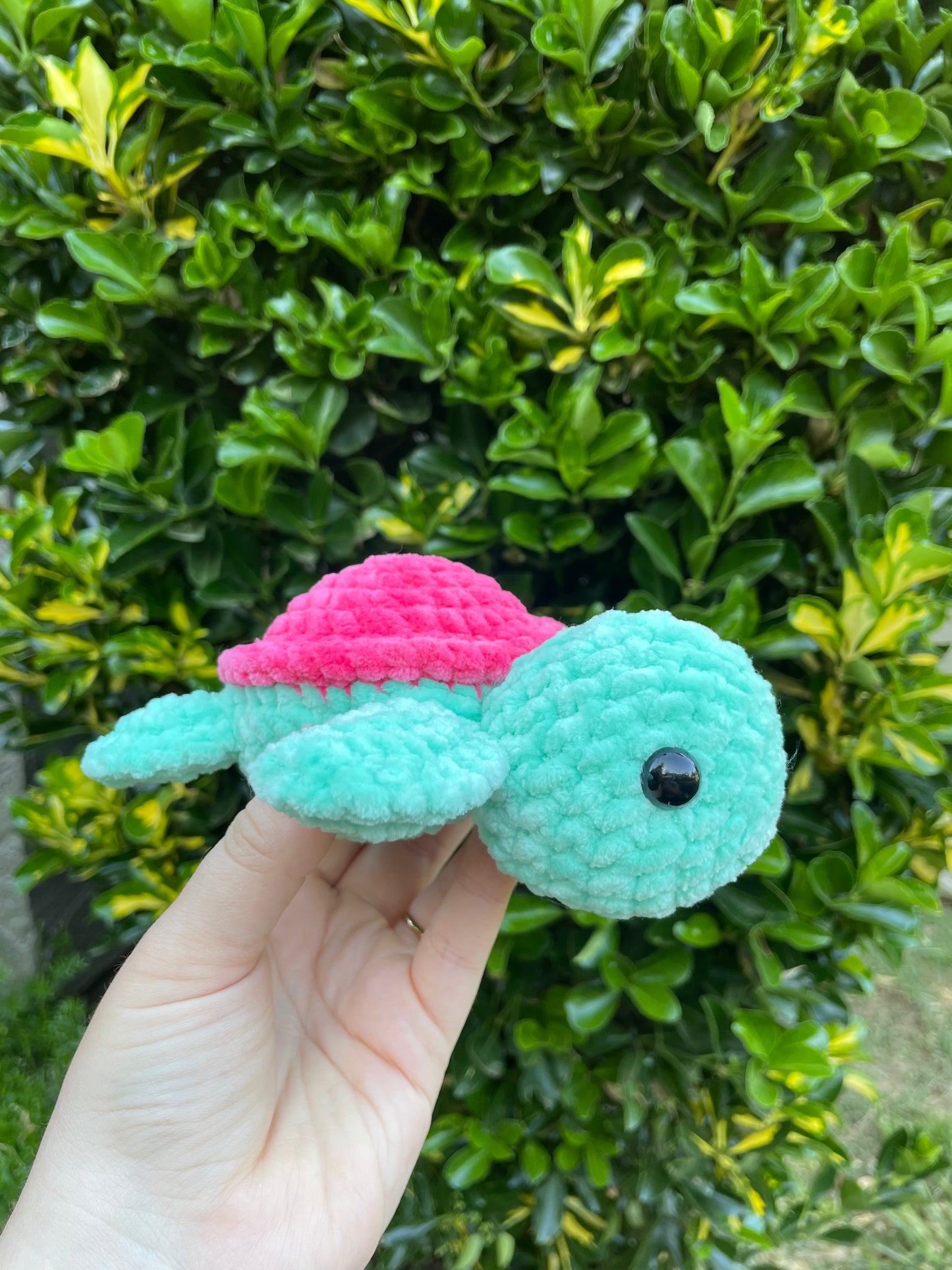 Small Turtle