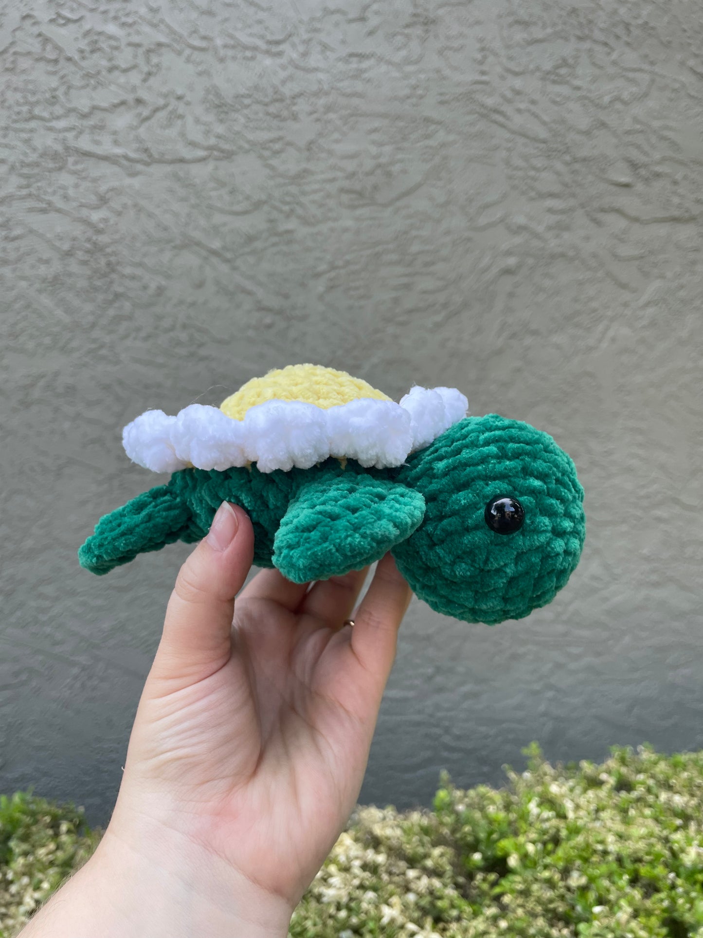 Small Sunflower Turtle