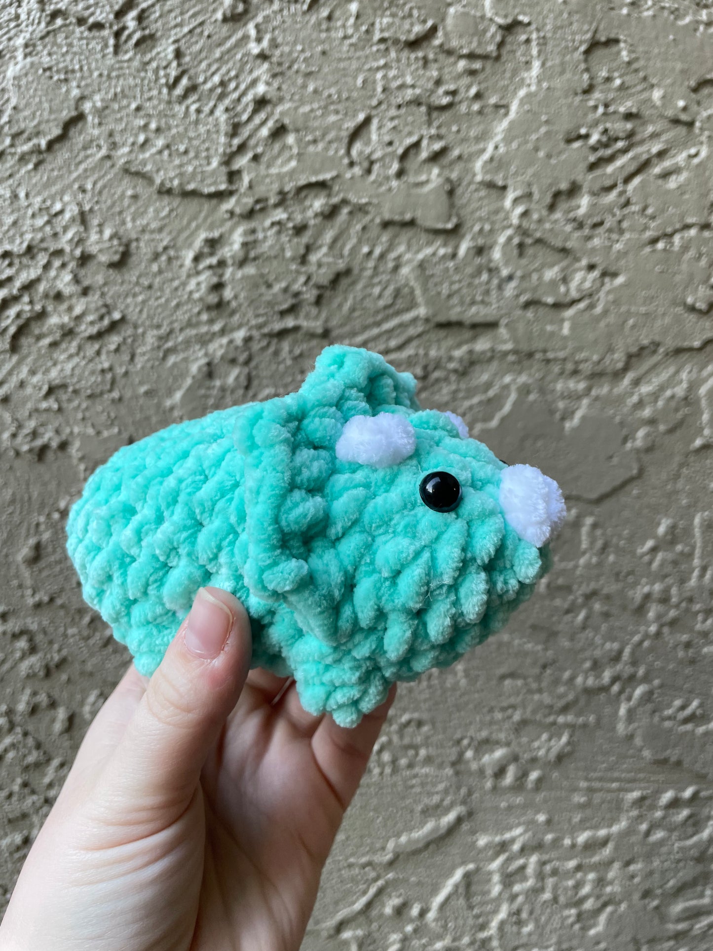 Triceratops