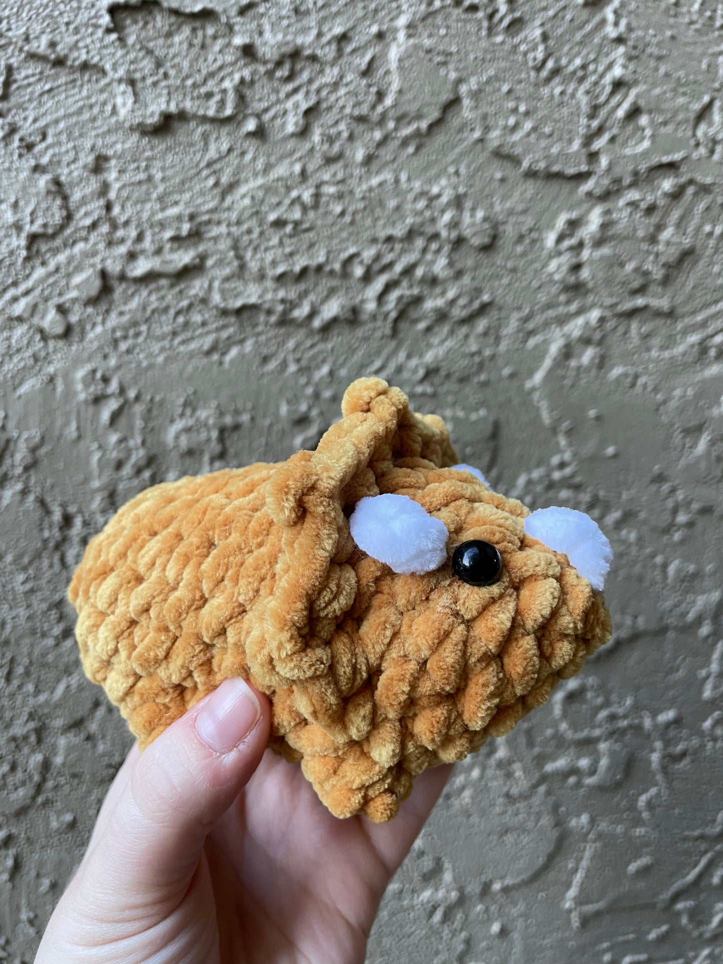 Triceratops