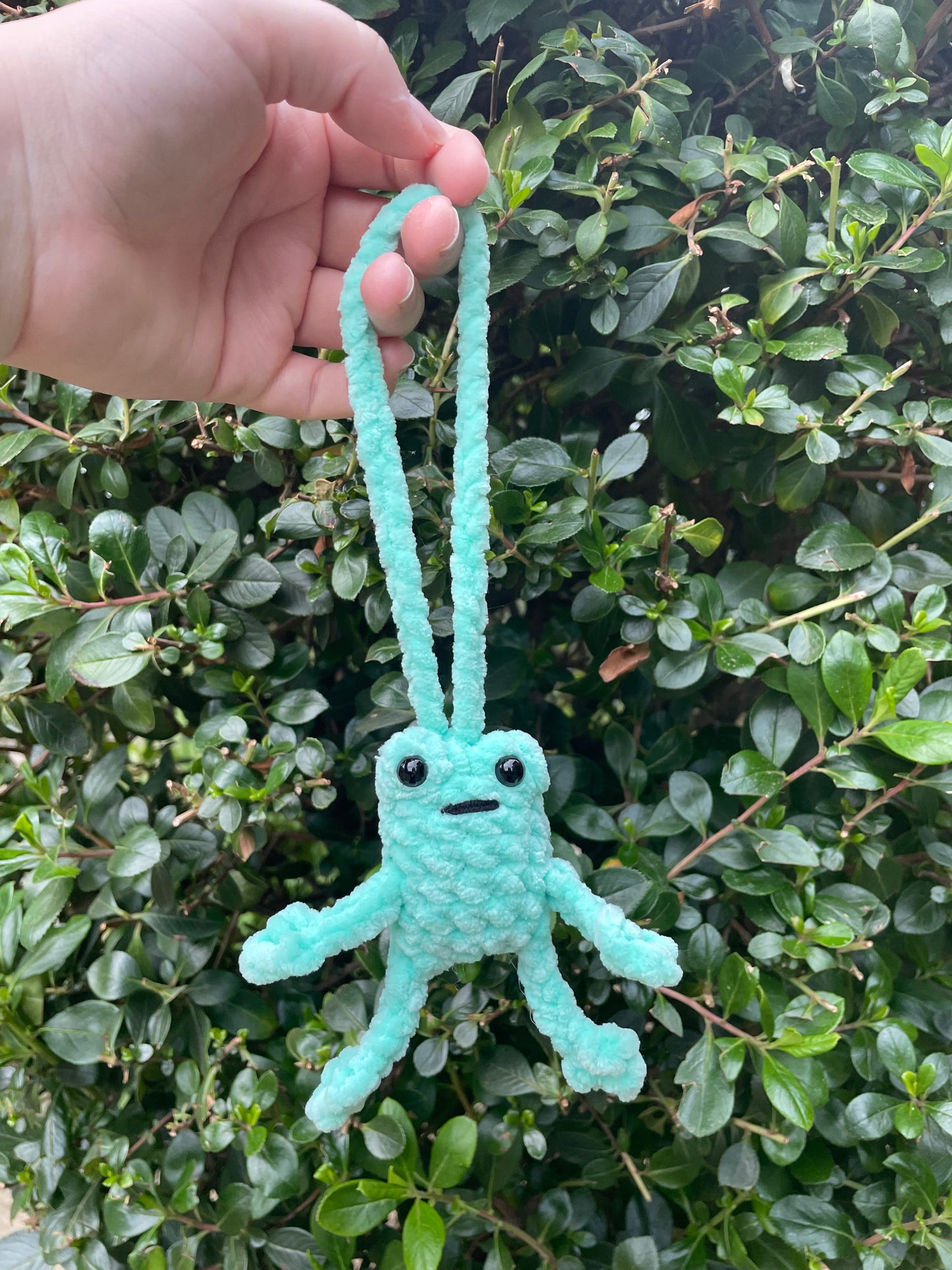 Leggy Frog Car Charm