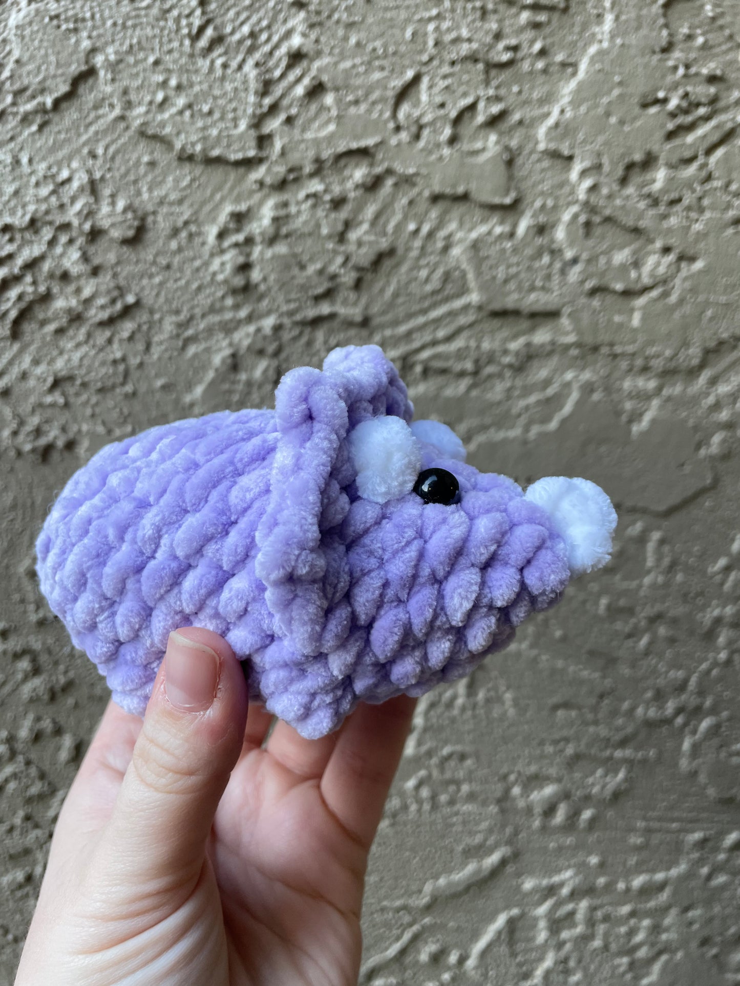 Triceratops