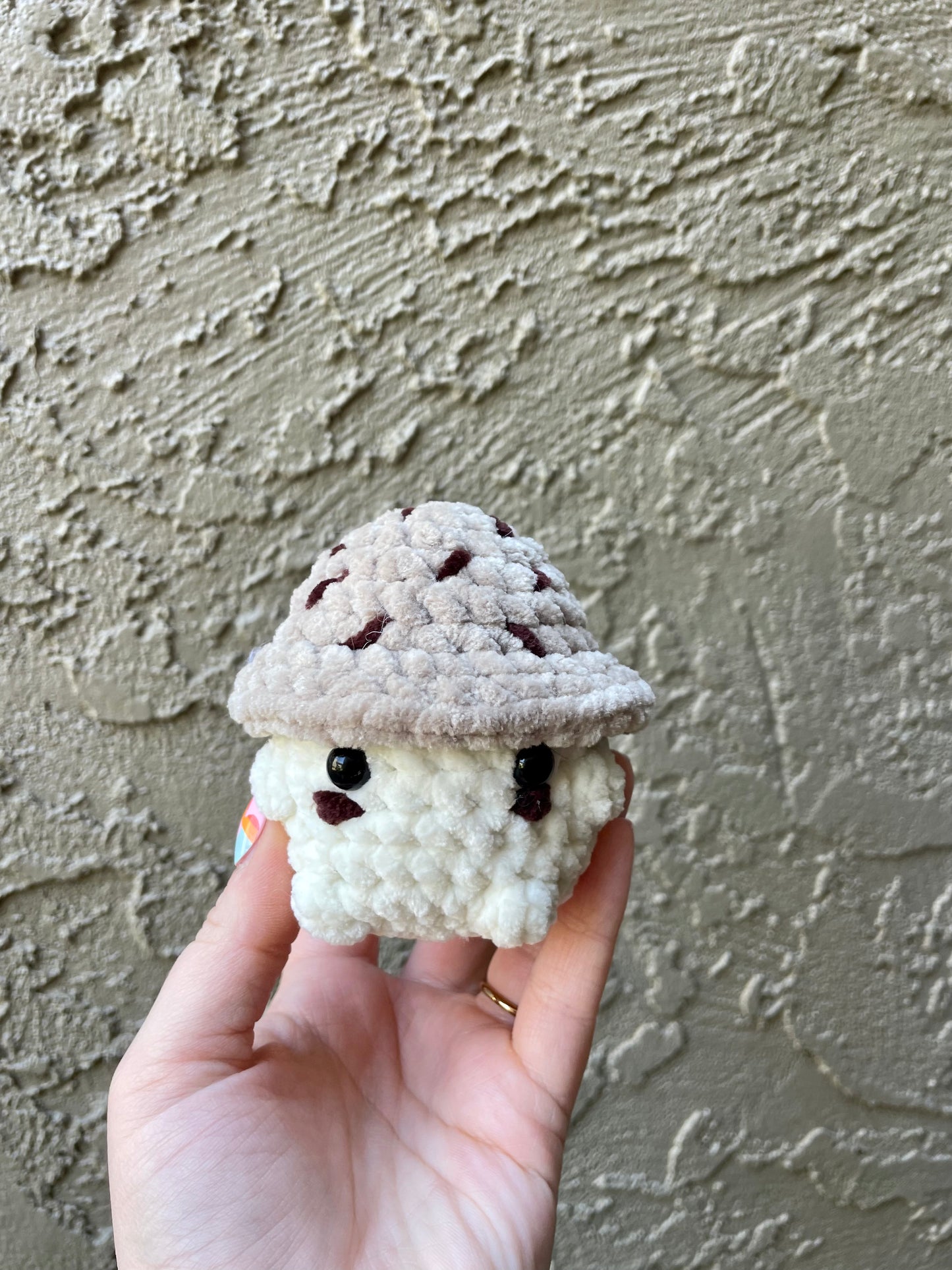 Chocolate Chip Chonky Boi