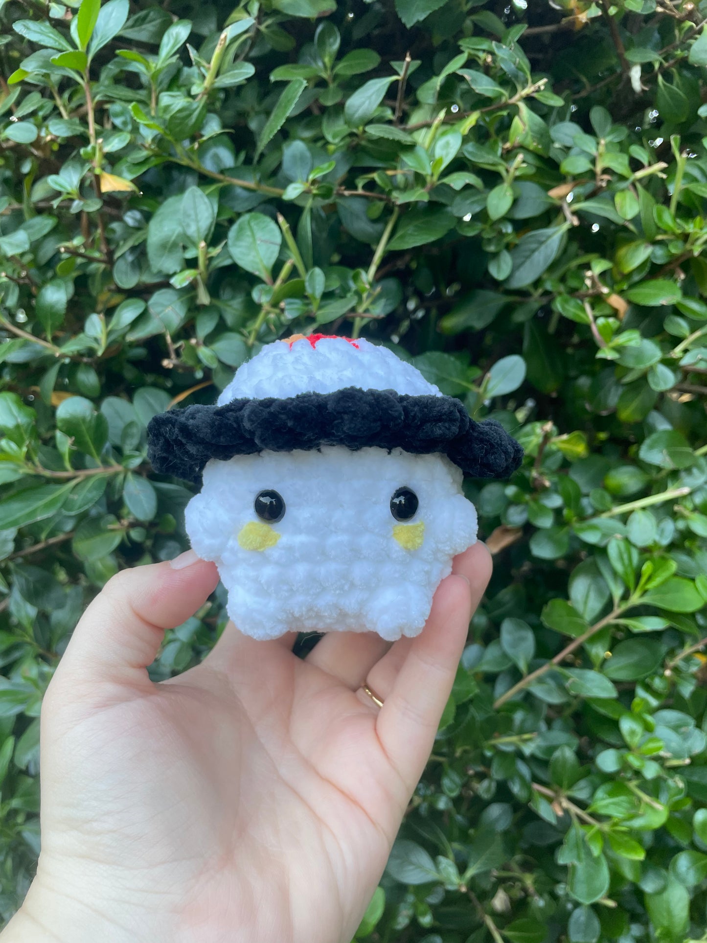Sushi Chonky Boi