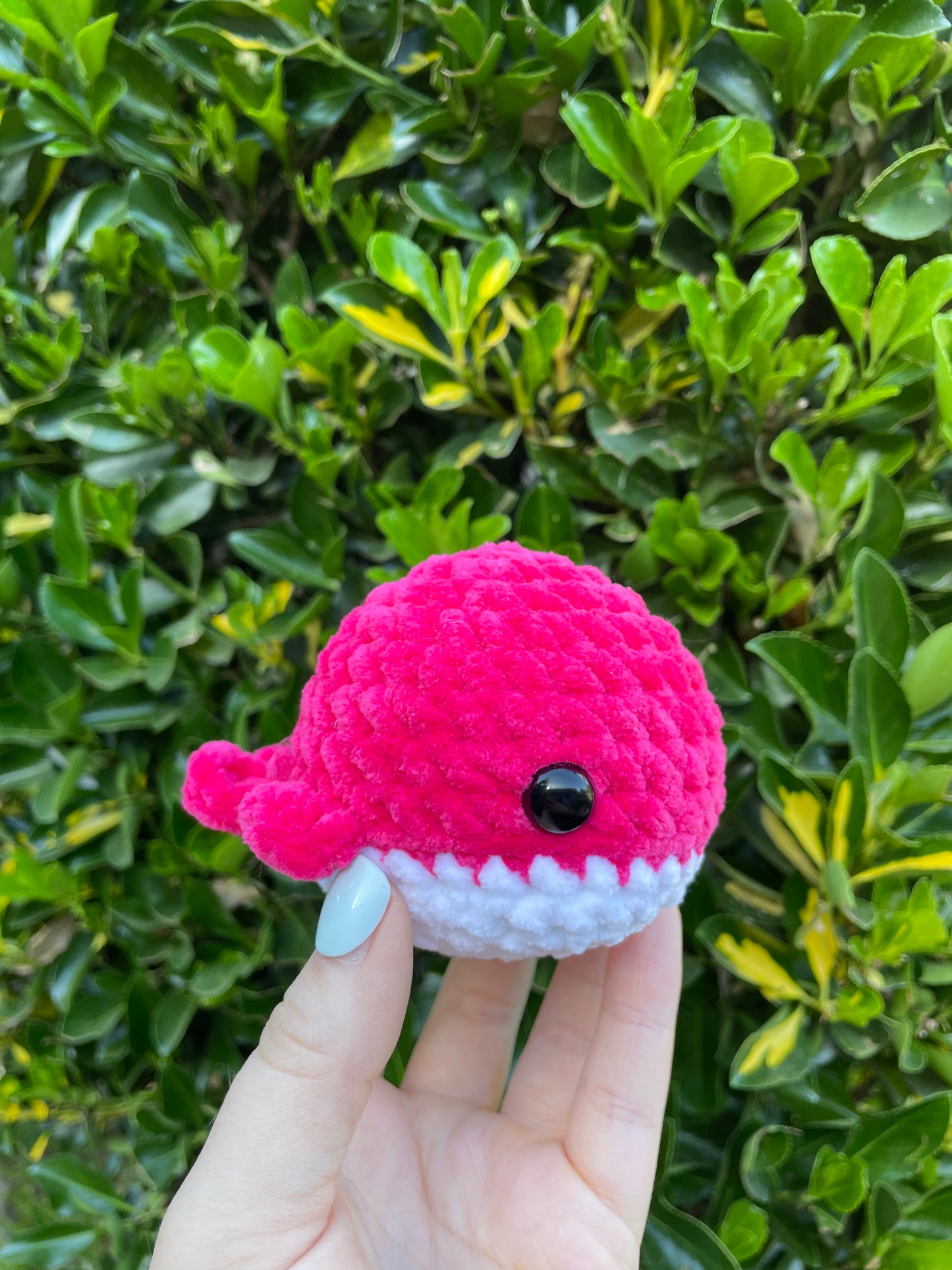 Whale