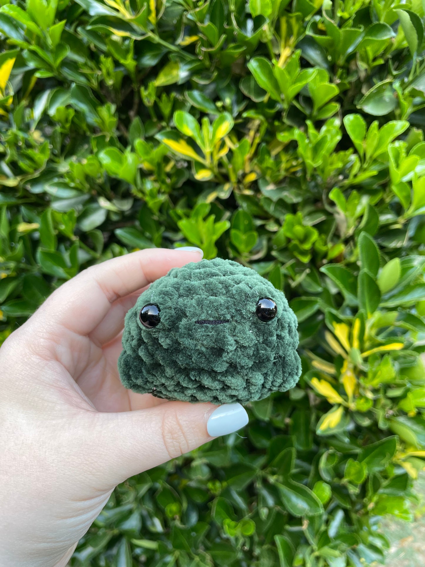 Froggee