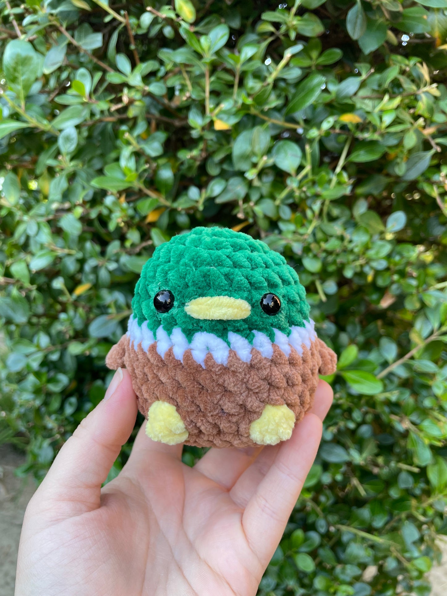 Chunky Bird