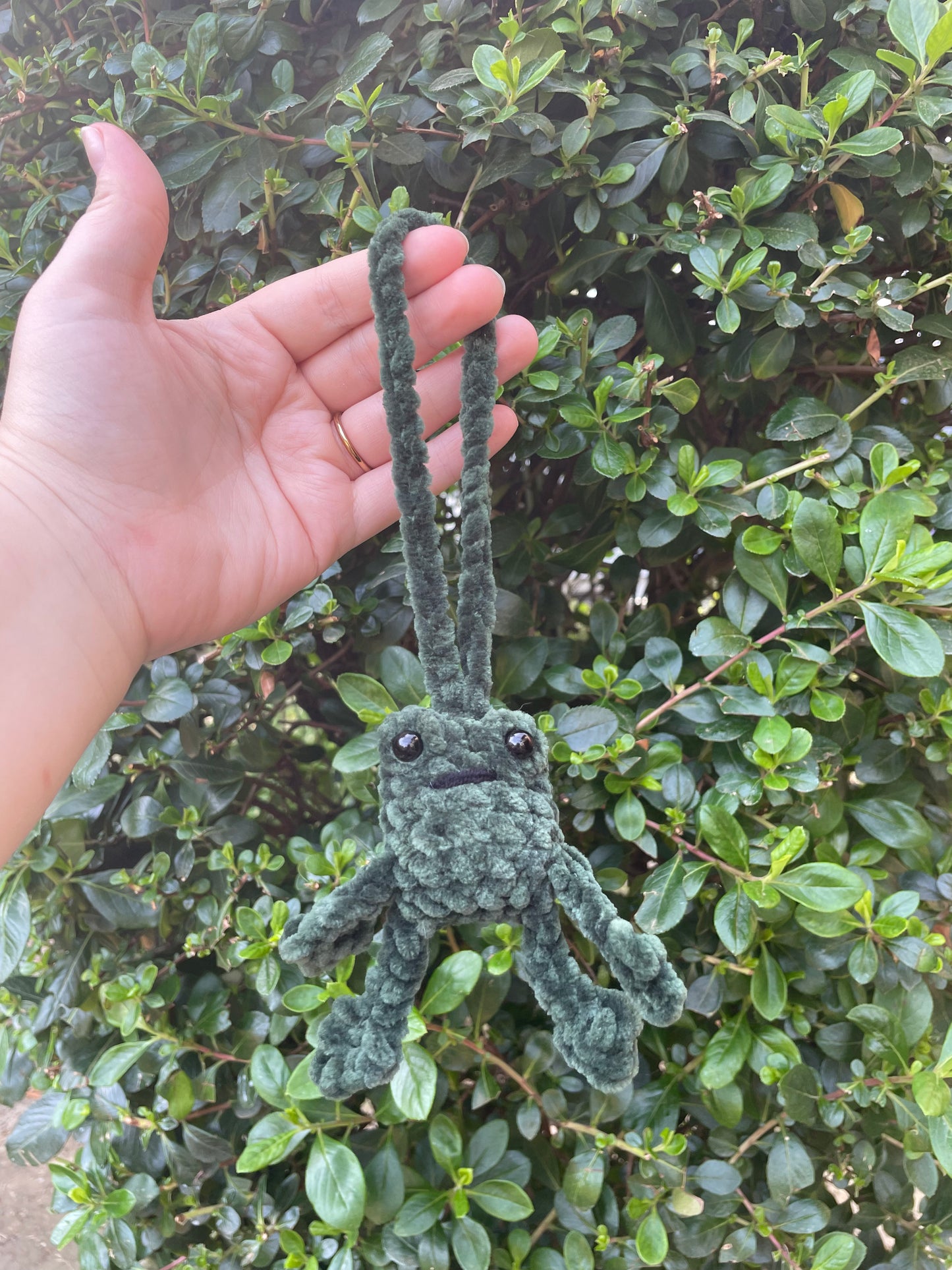 Leggy Frog Car Charm