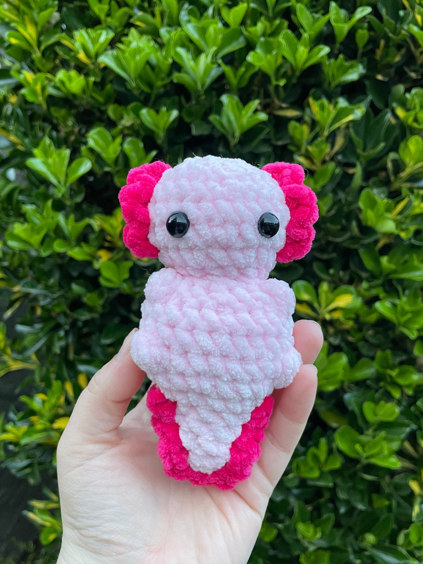 Mini Axolotl