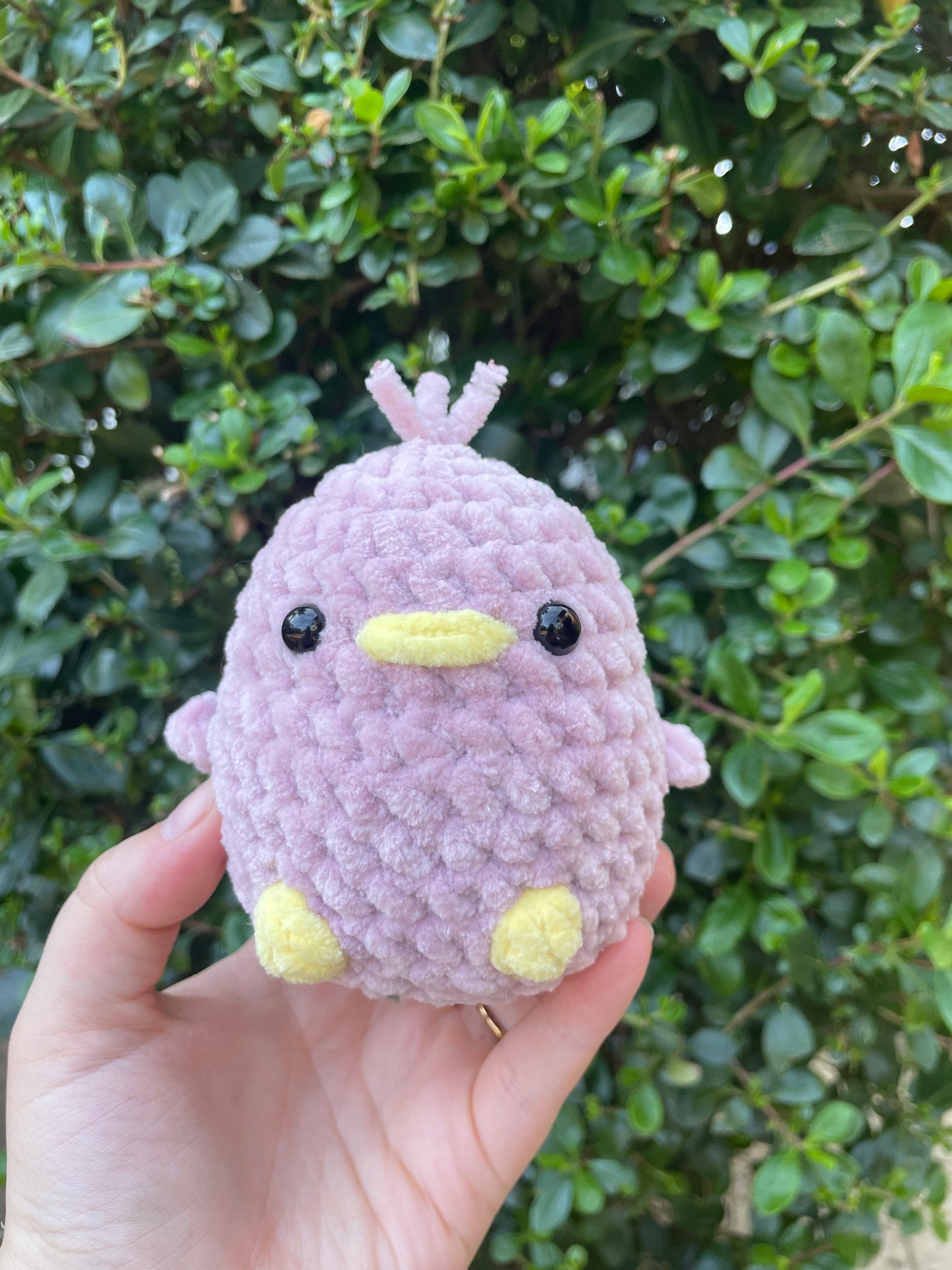 Chunky Bird