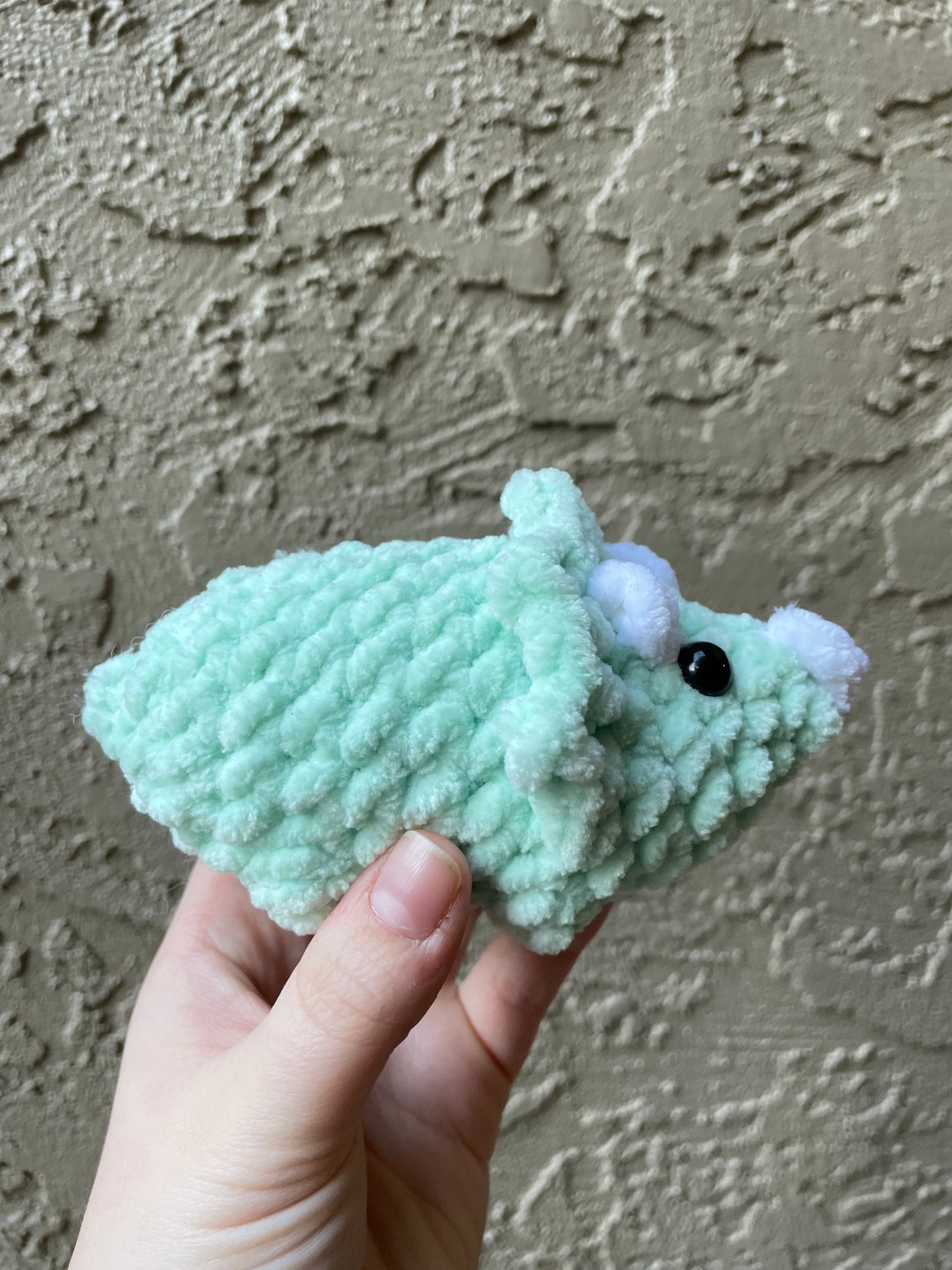 Triceratops