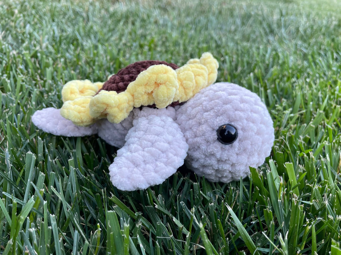 Small Sunflower Turtle