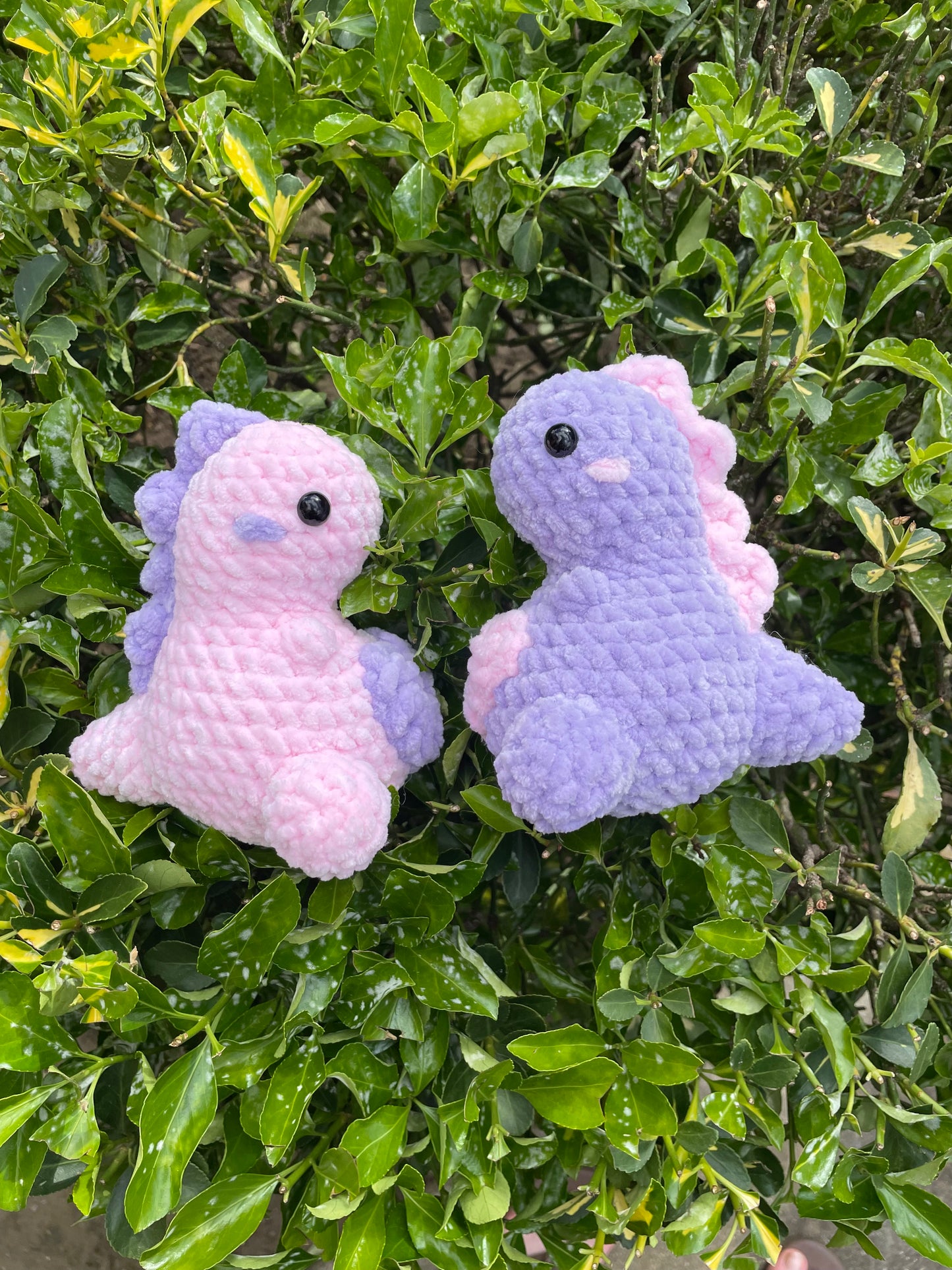 Heart Belly Mini Dino