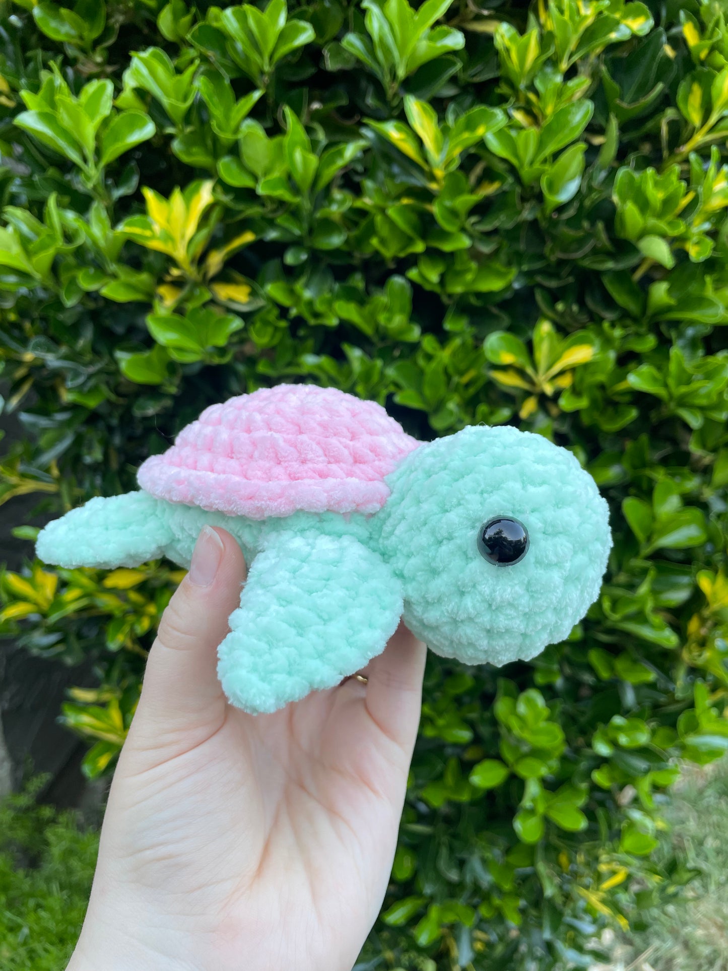 Small Turtle