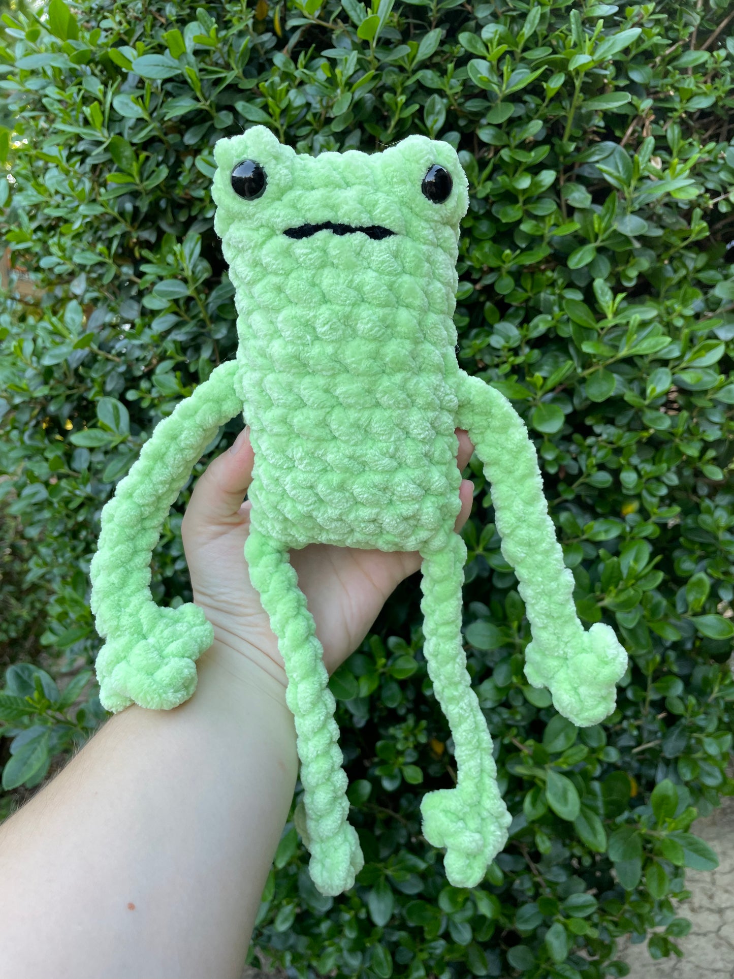 Jumbo Leggy Frog