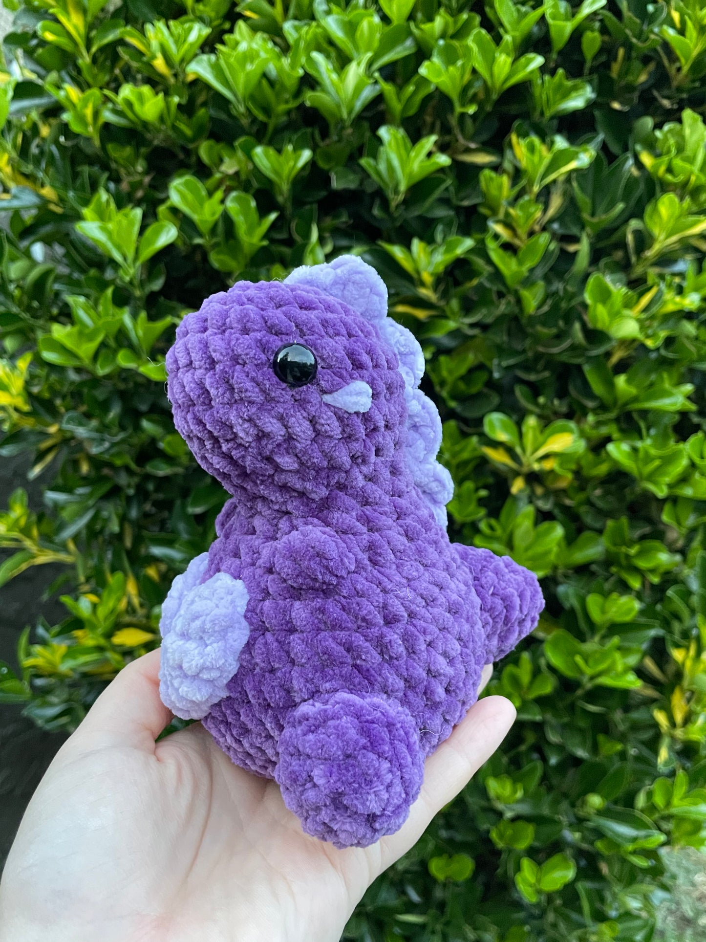 Heart Belly Mini Dino
