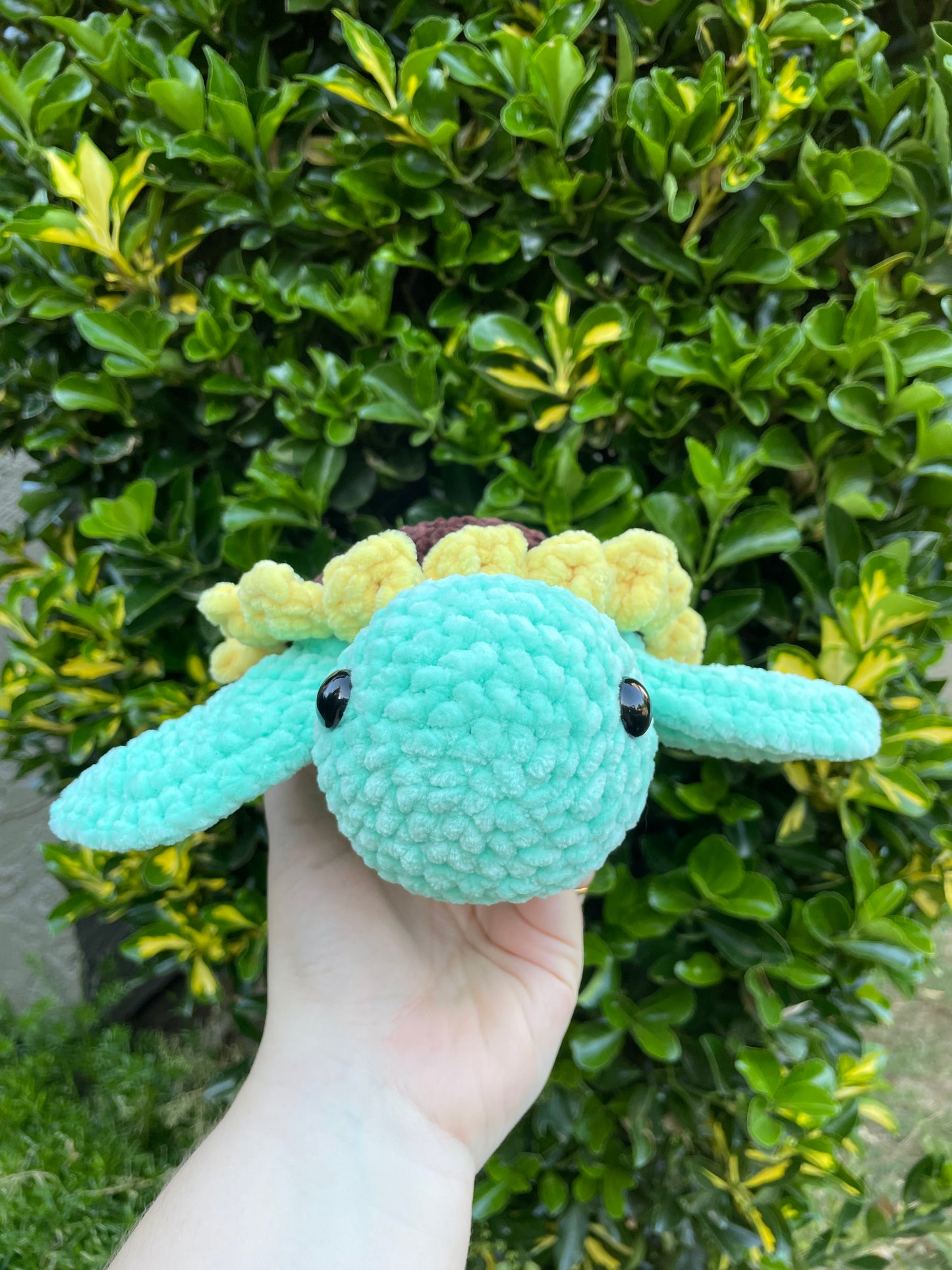 Medium Sunflower Turtle