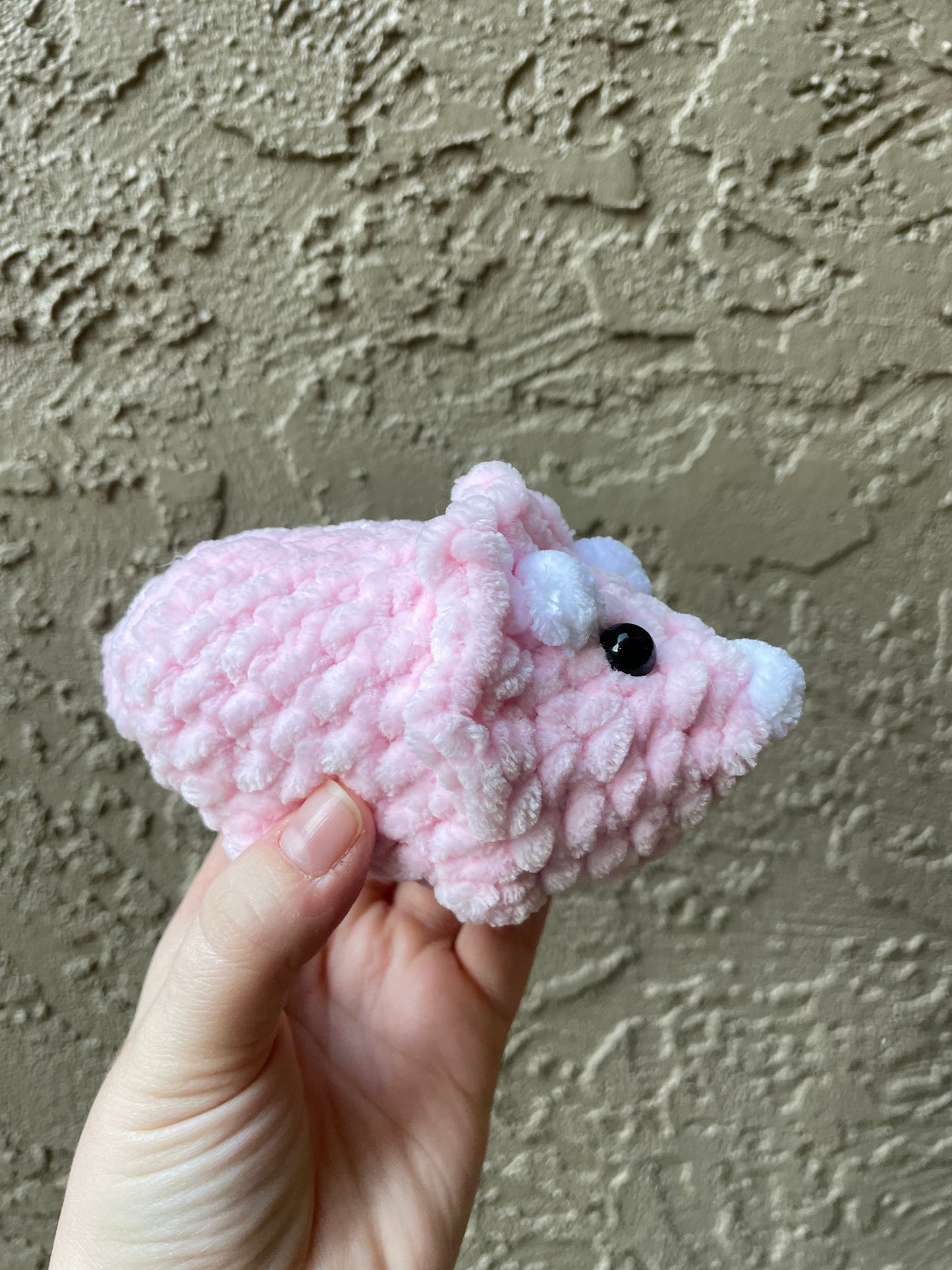 Triceratops