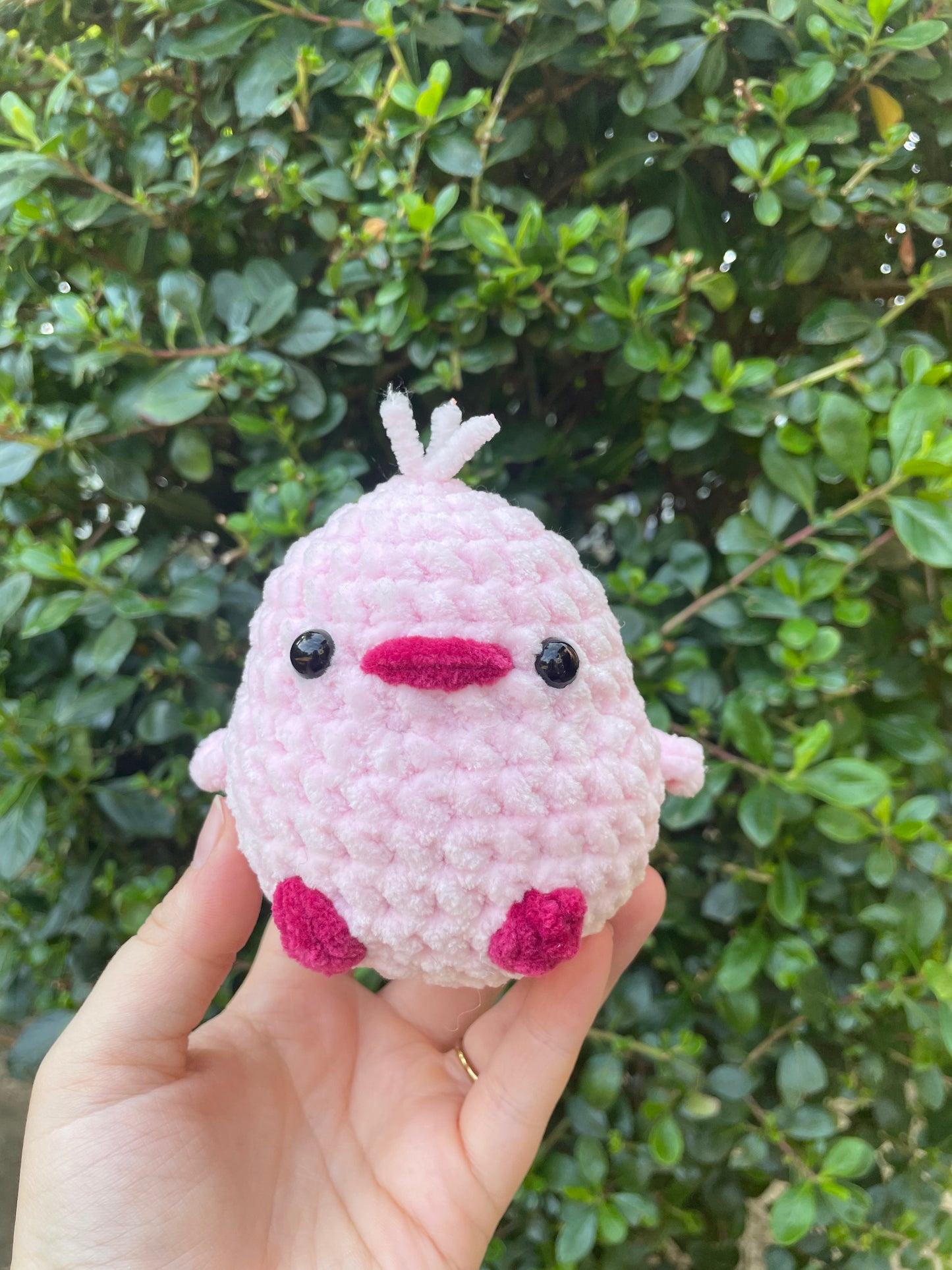 Chunky Bird