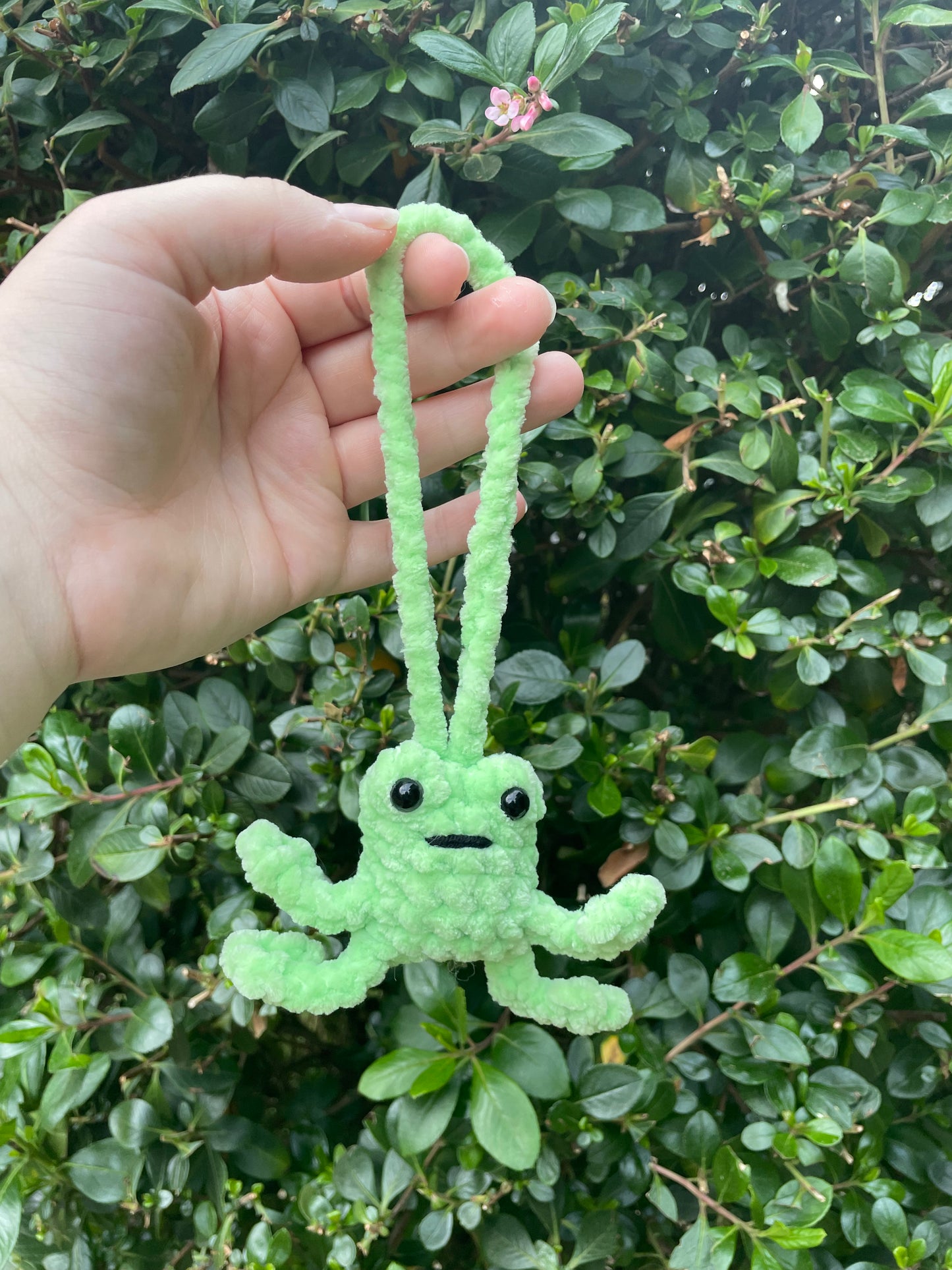 Leggy Frog Car Charm