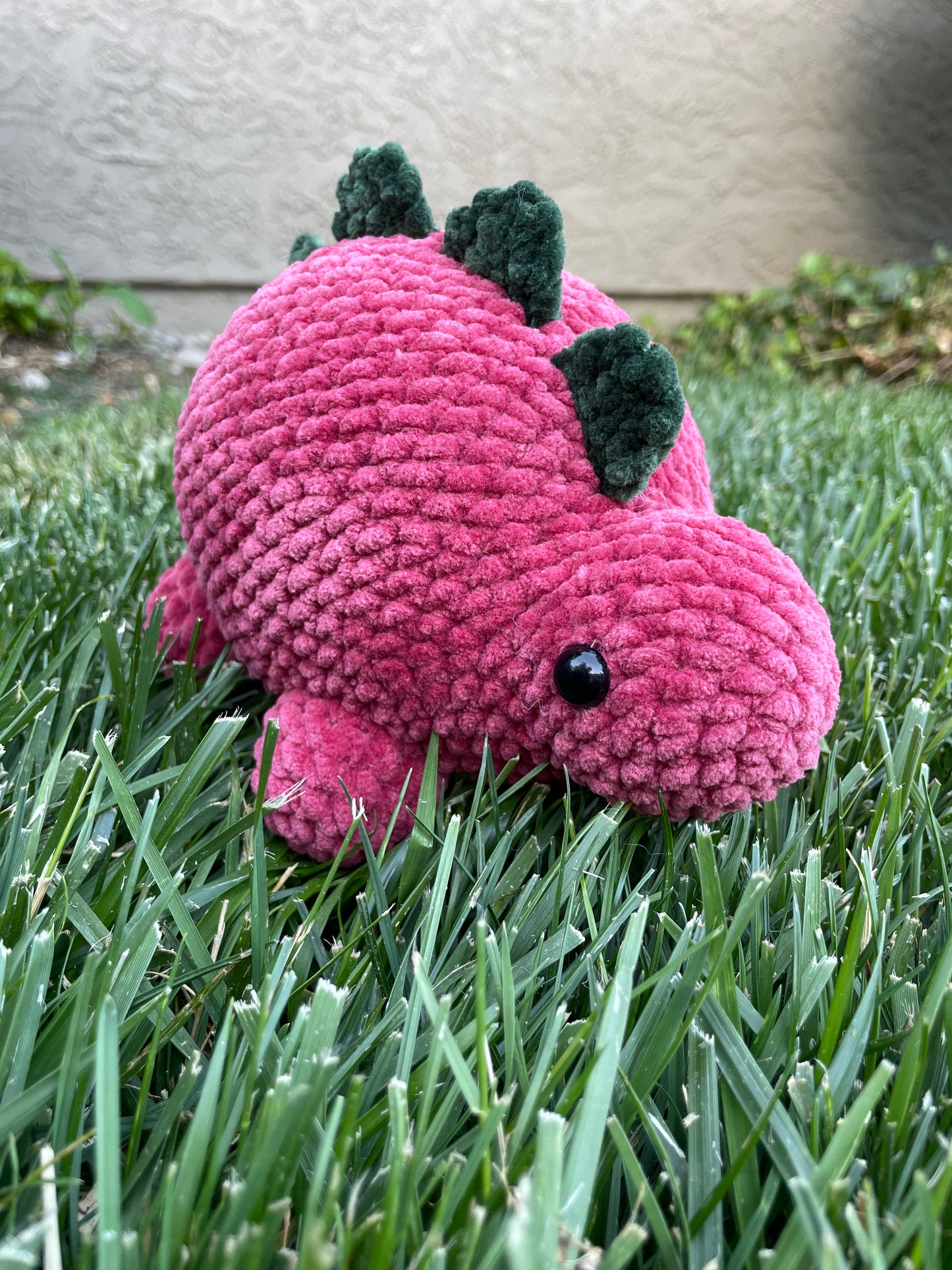 Stegosaurus