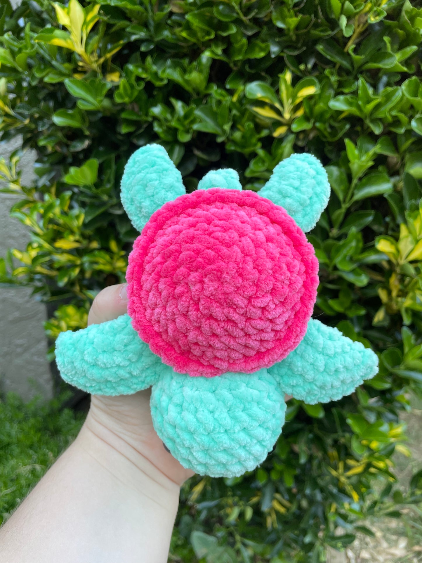 Small Turtle