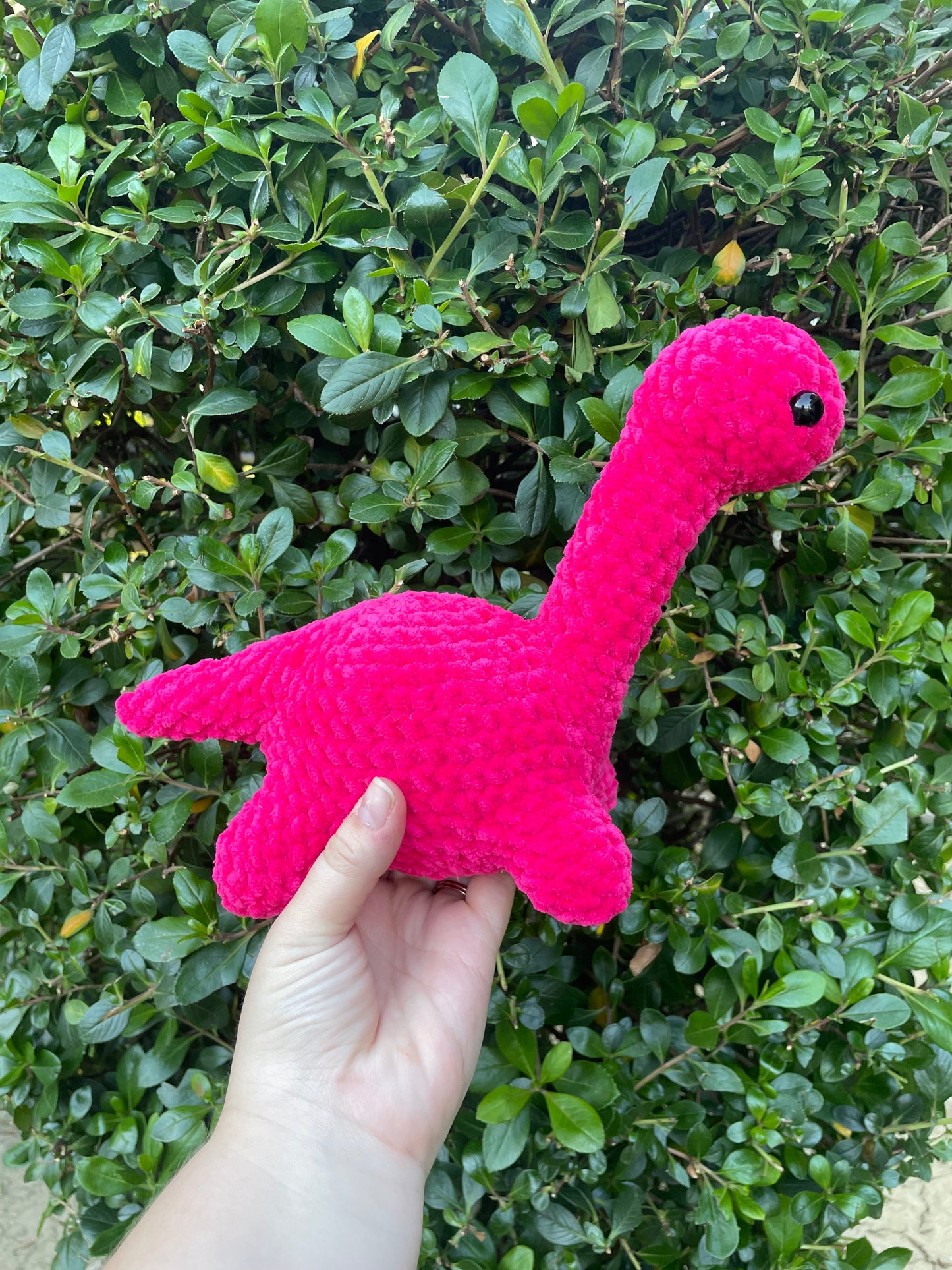 Brontosaurus
