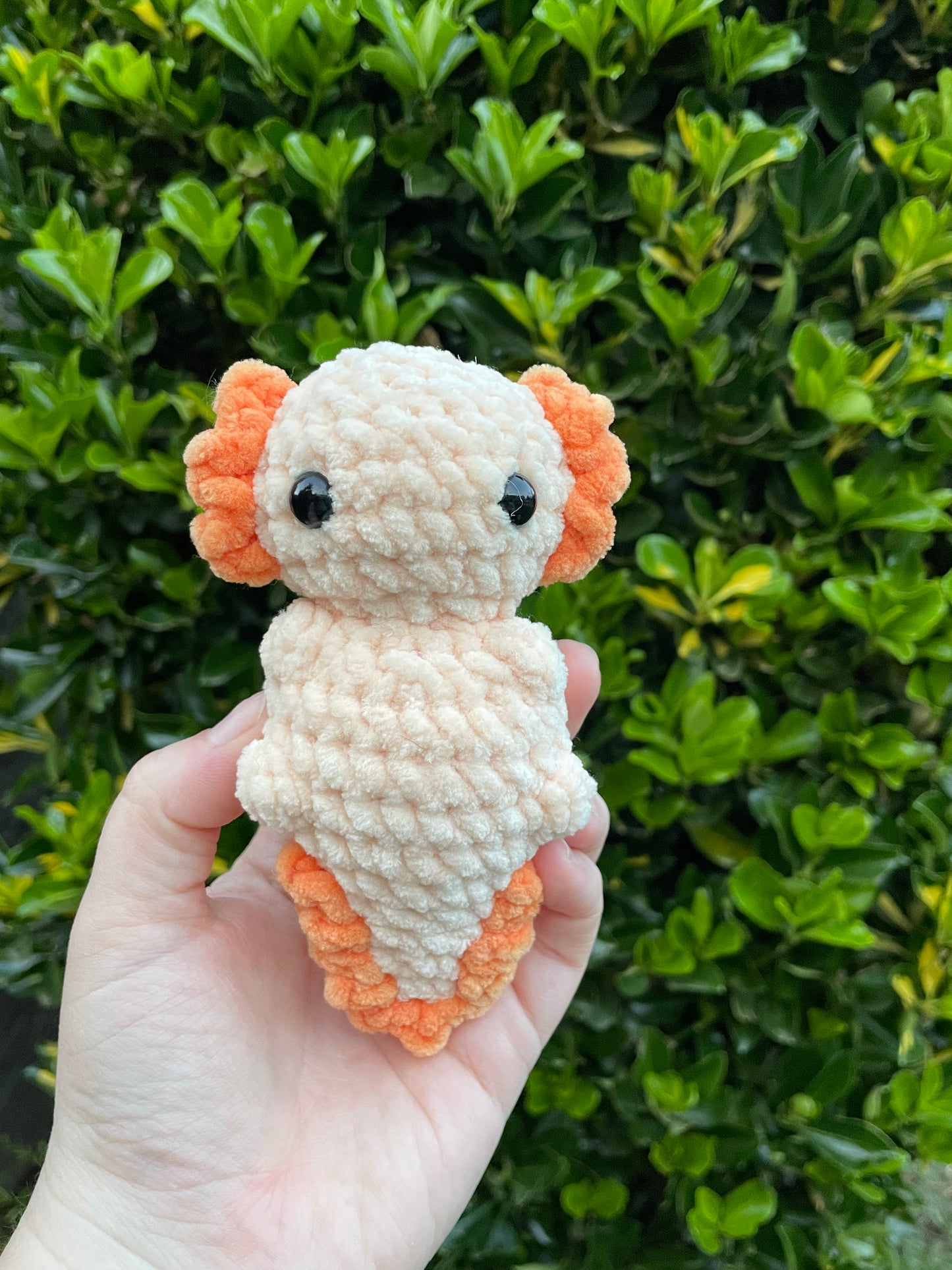 Mini Axolotl