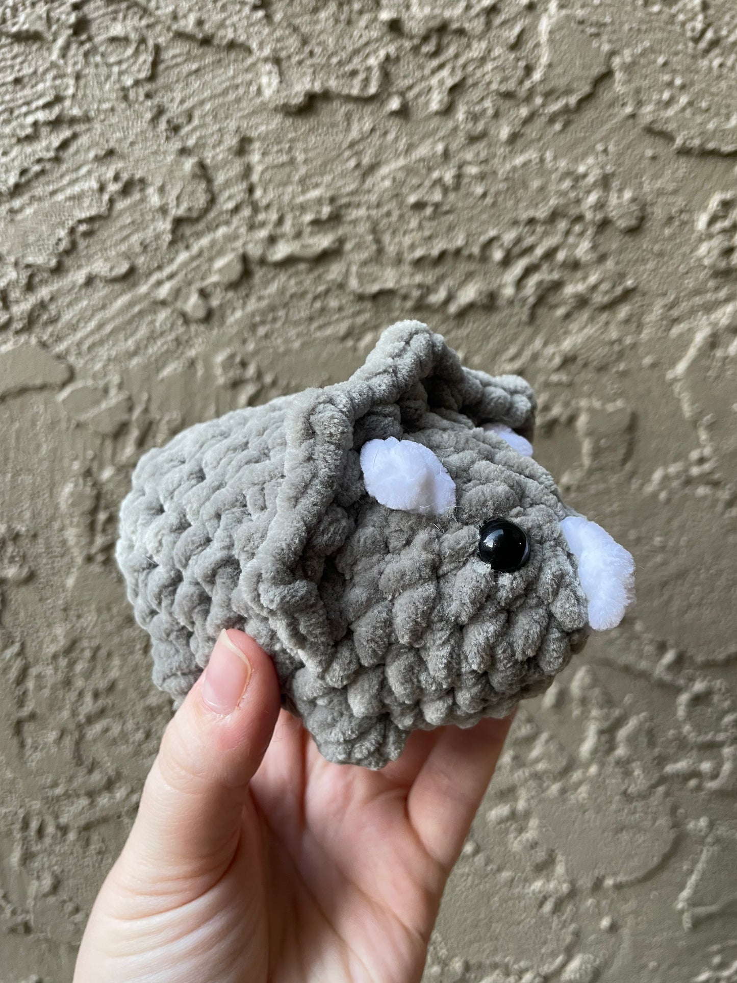 Triceratops