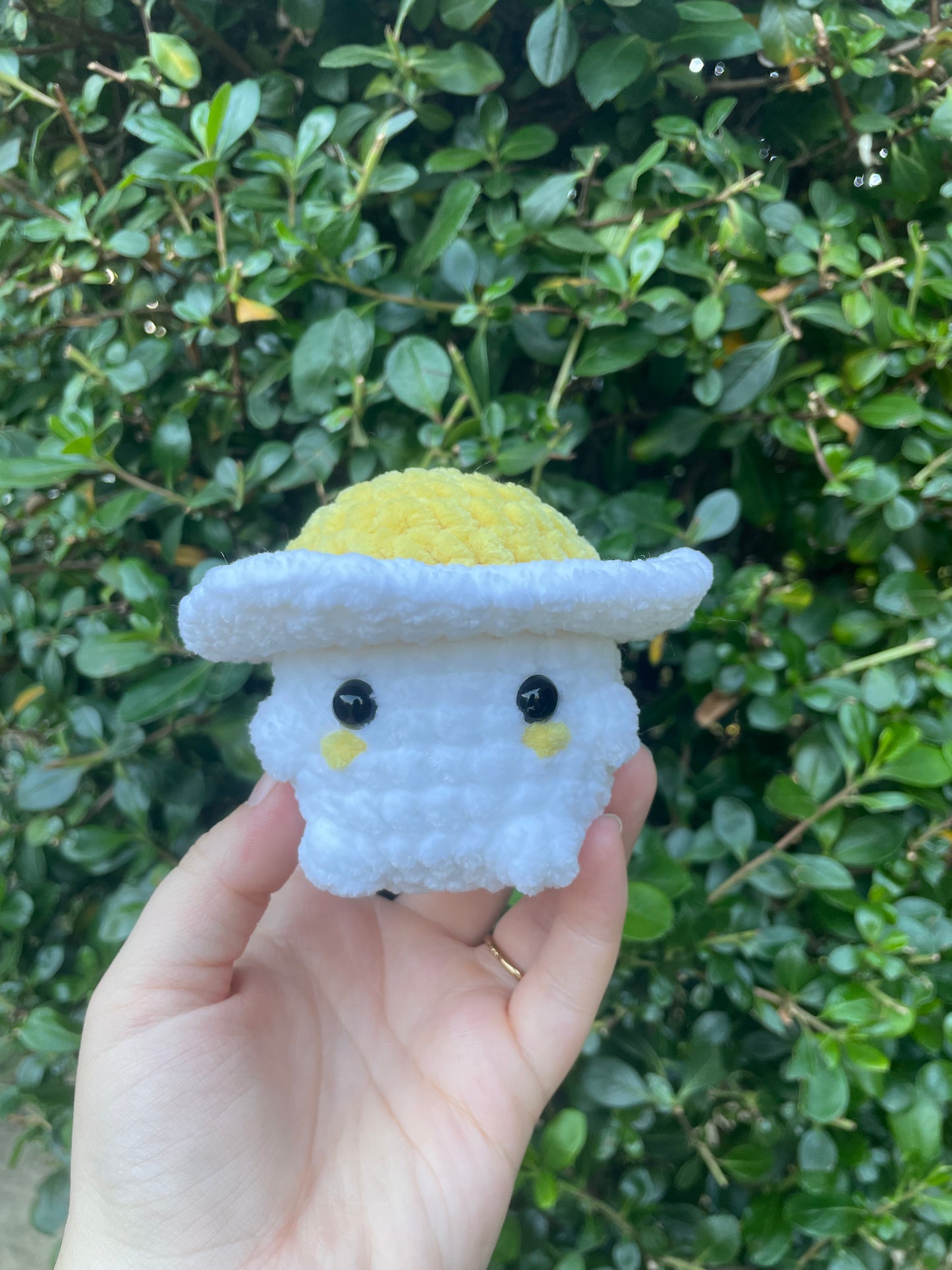 Fried Egg Chonky Boi