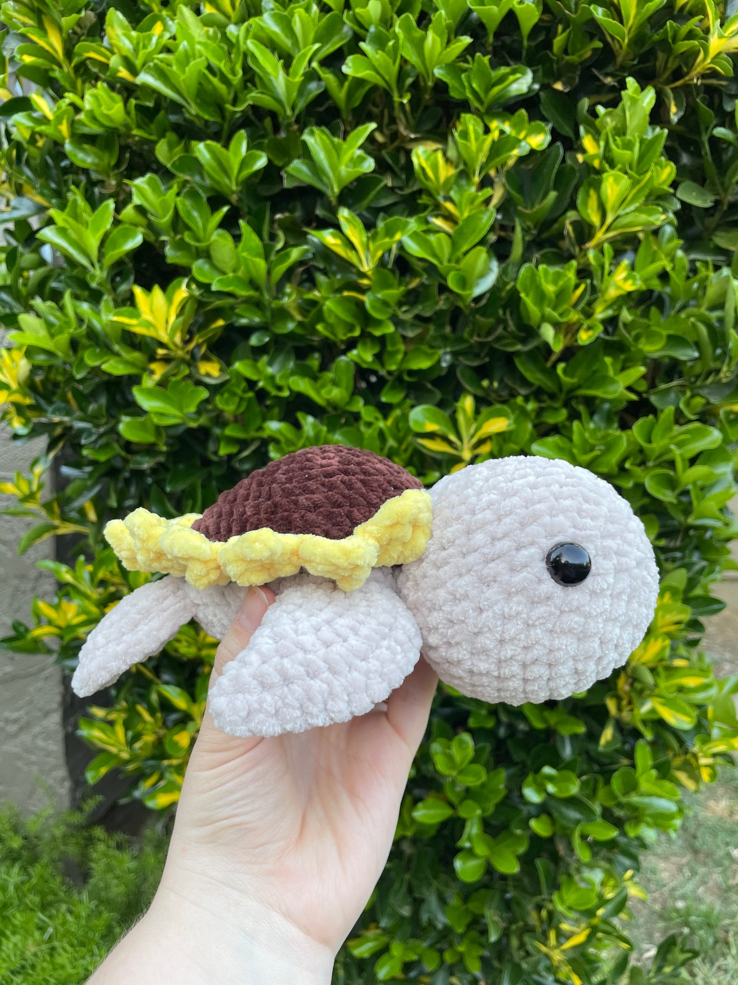 Medium Sunflower Turtle