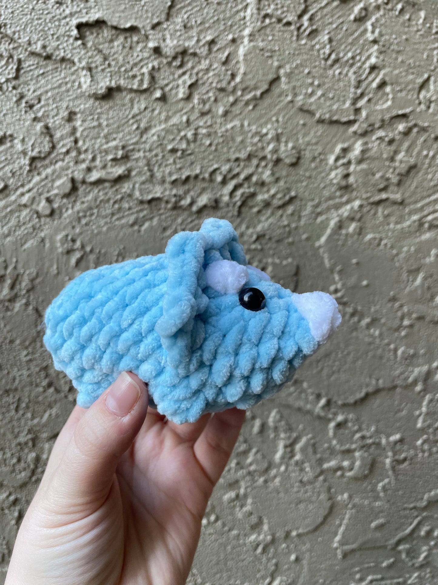 Triceratops