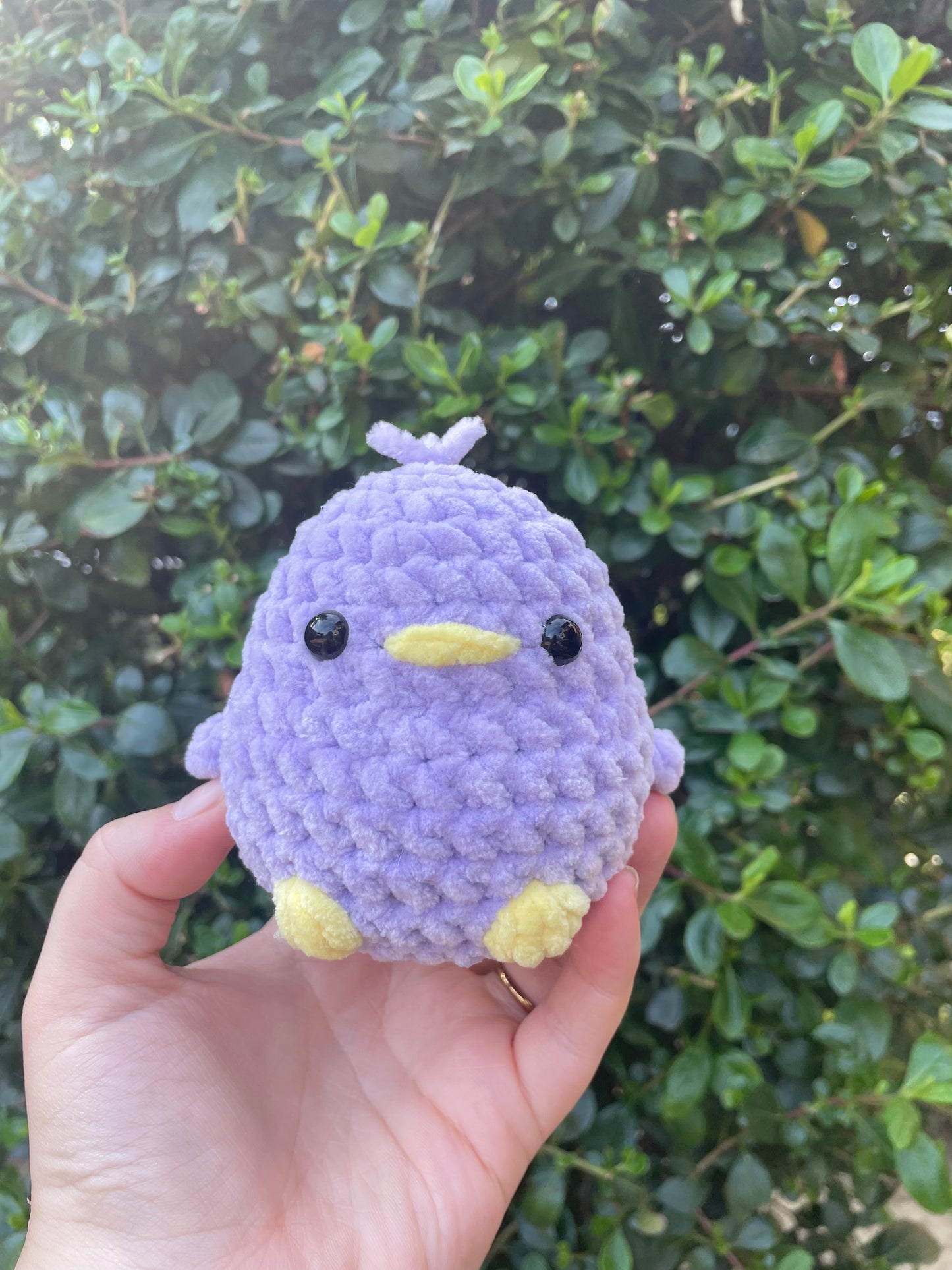 Chunky Bird