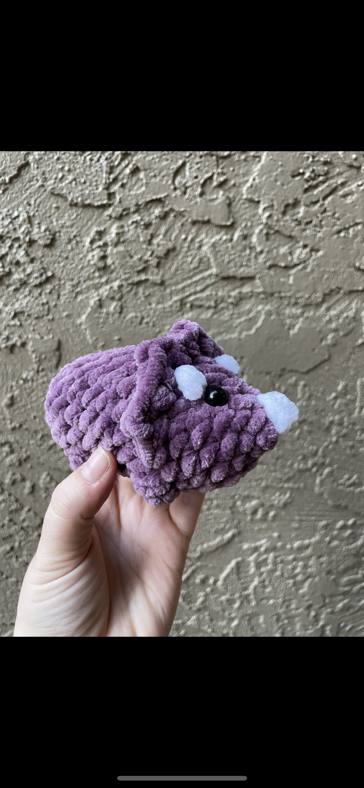Triceratops