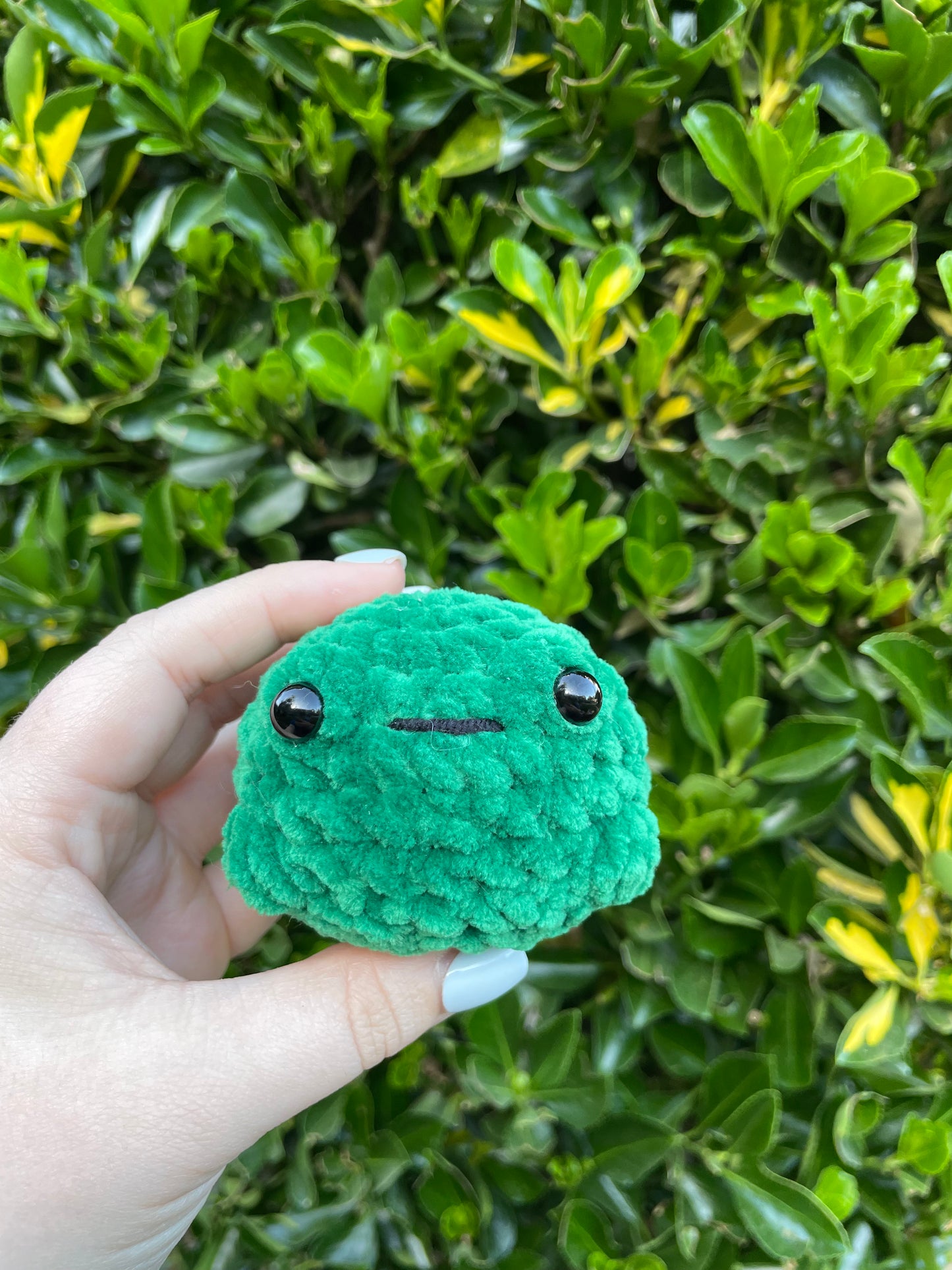 Froggee