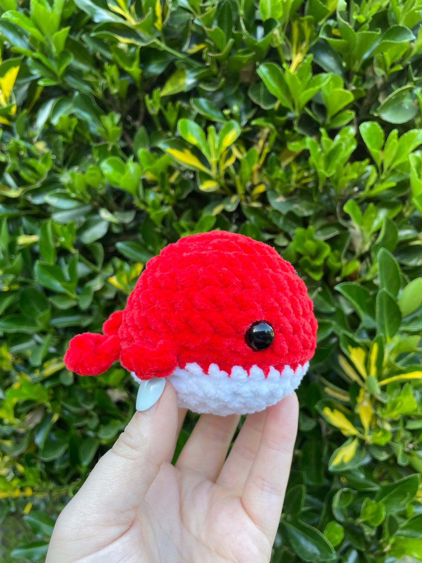 Whale