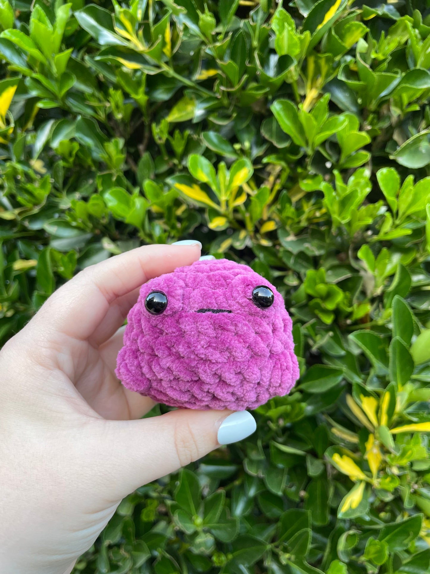 Froggee