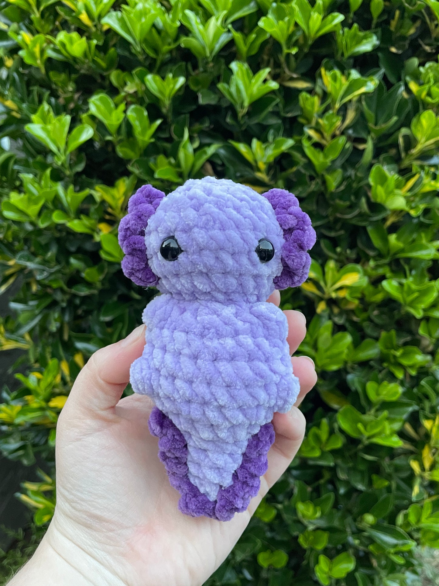 Mini Axolotl