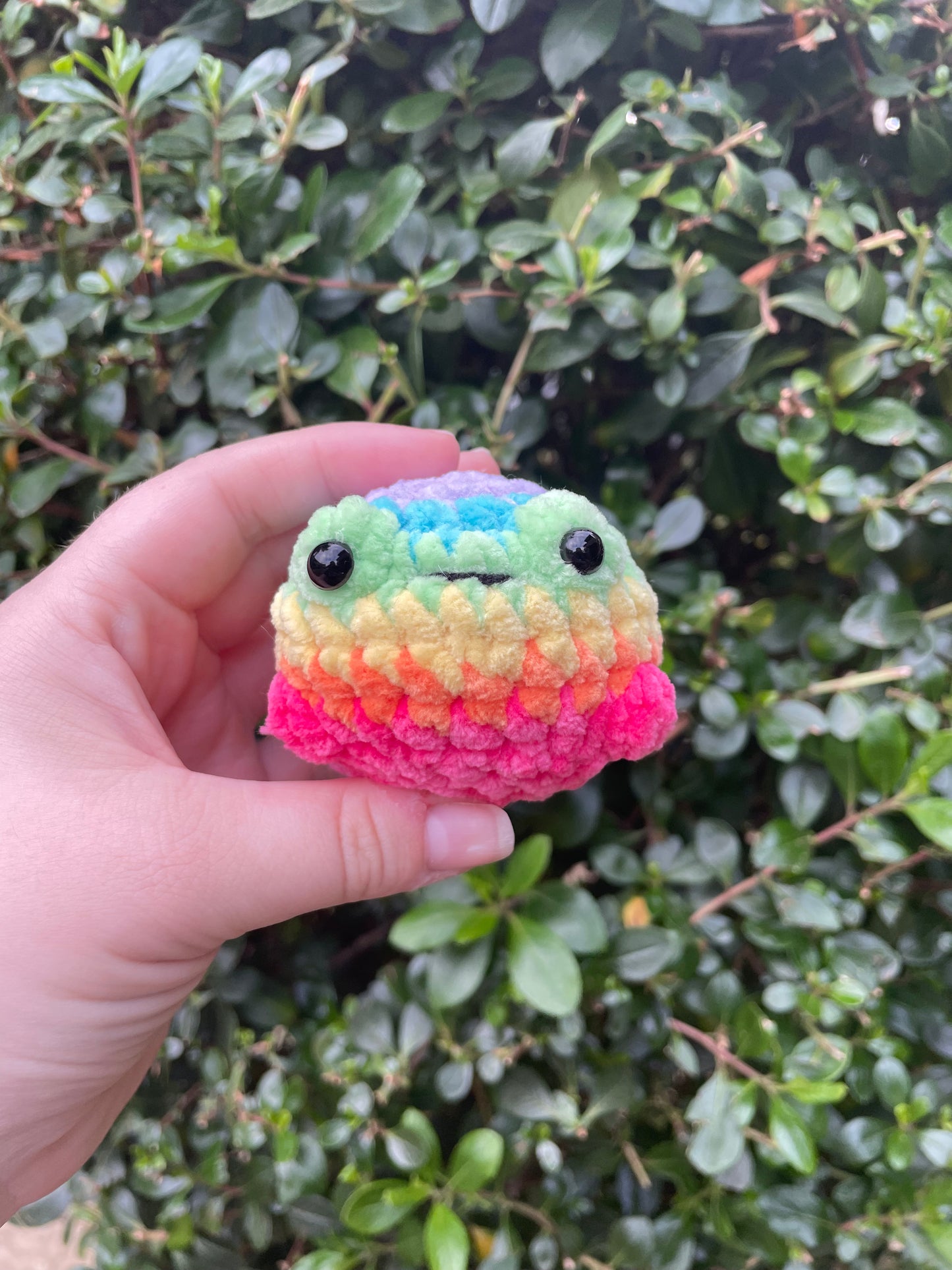 Rainbow Froggee