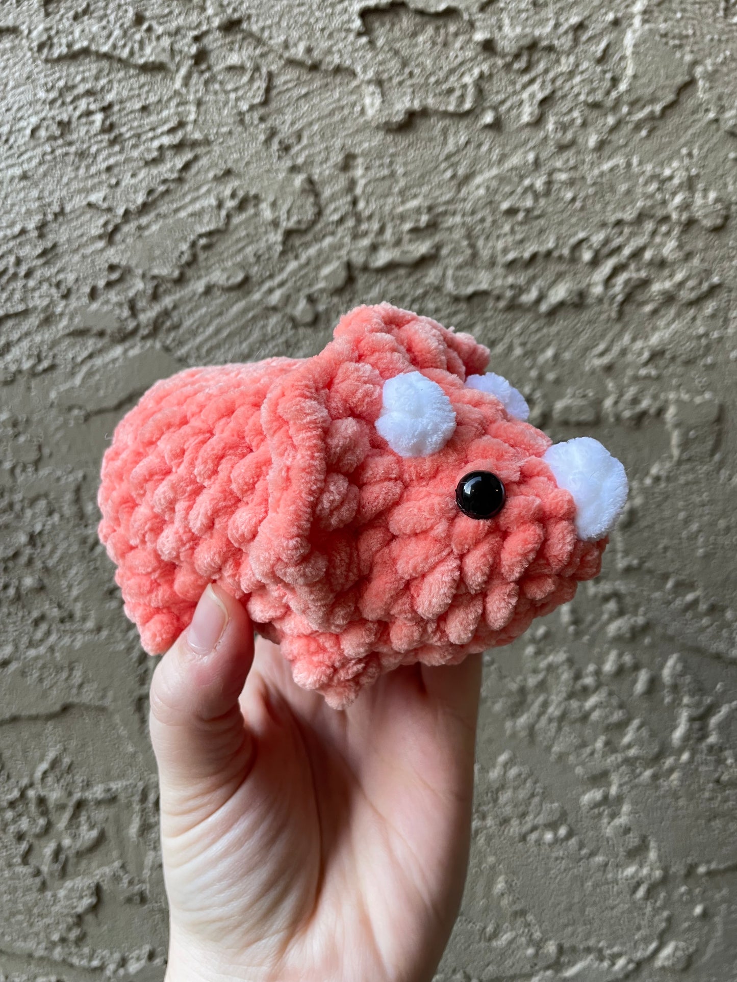 Triceratops