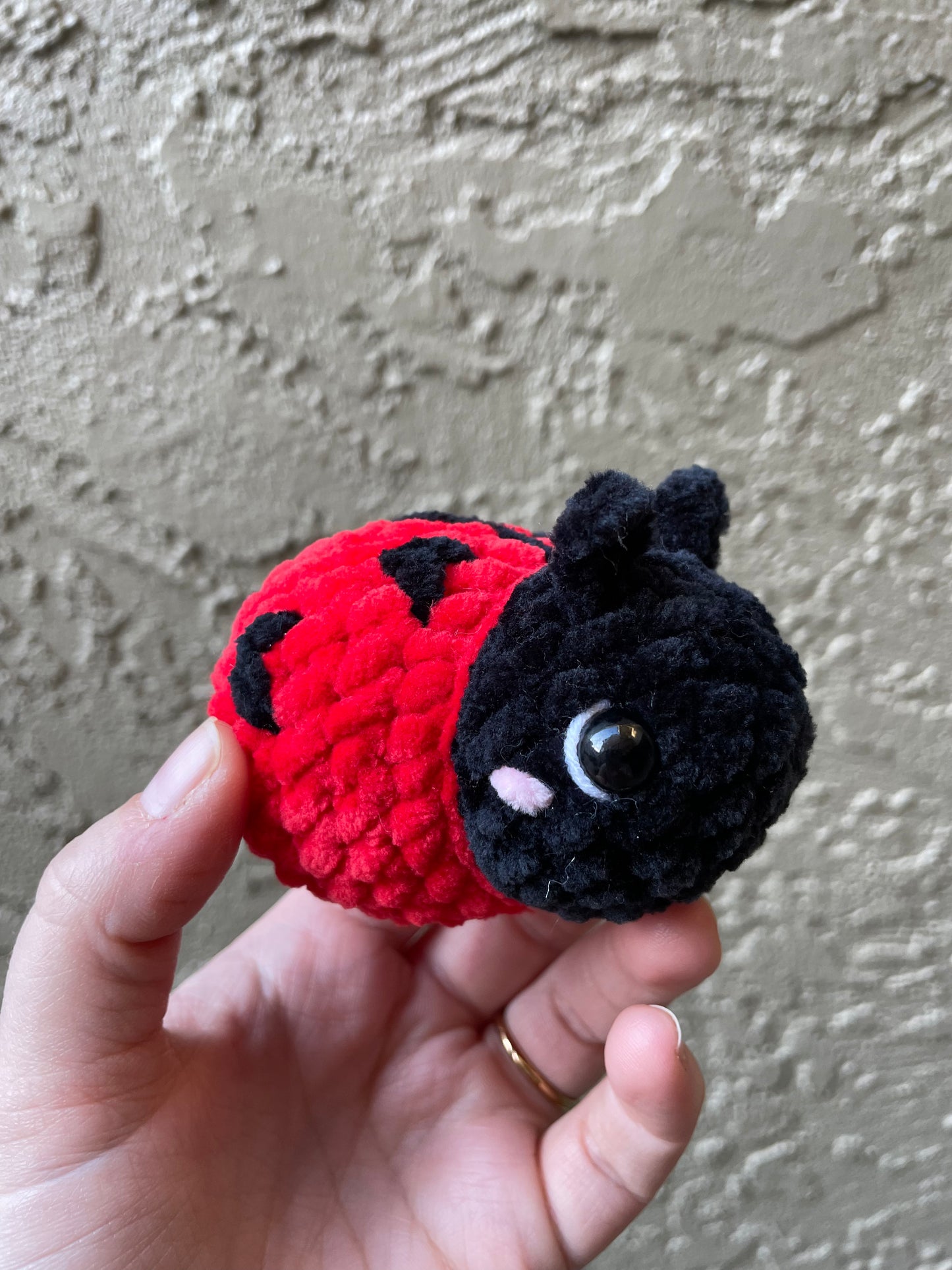 Ladybug