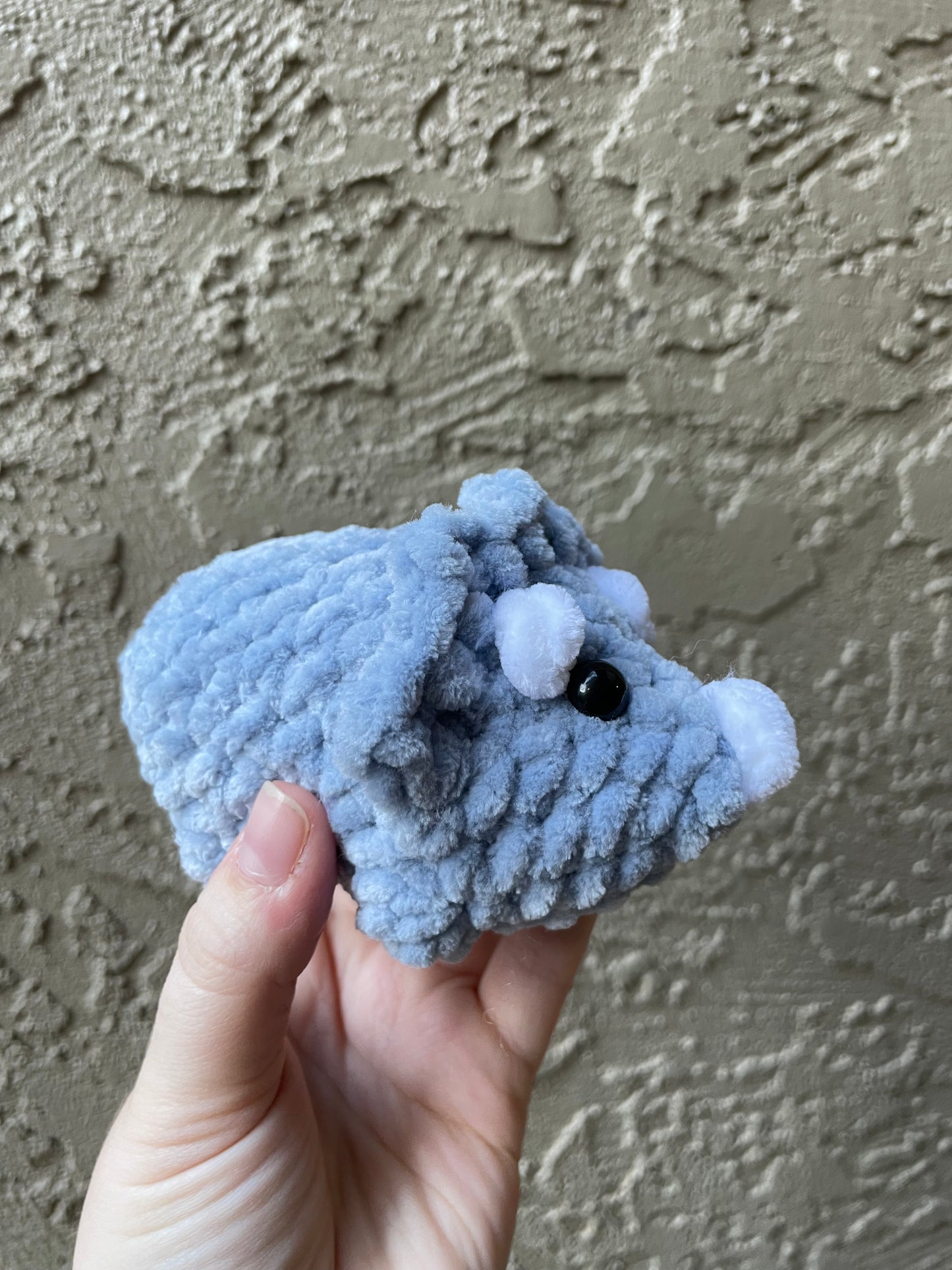 Triceratops