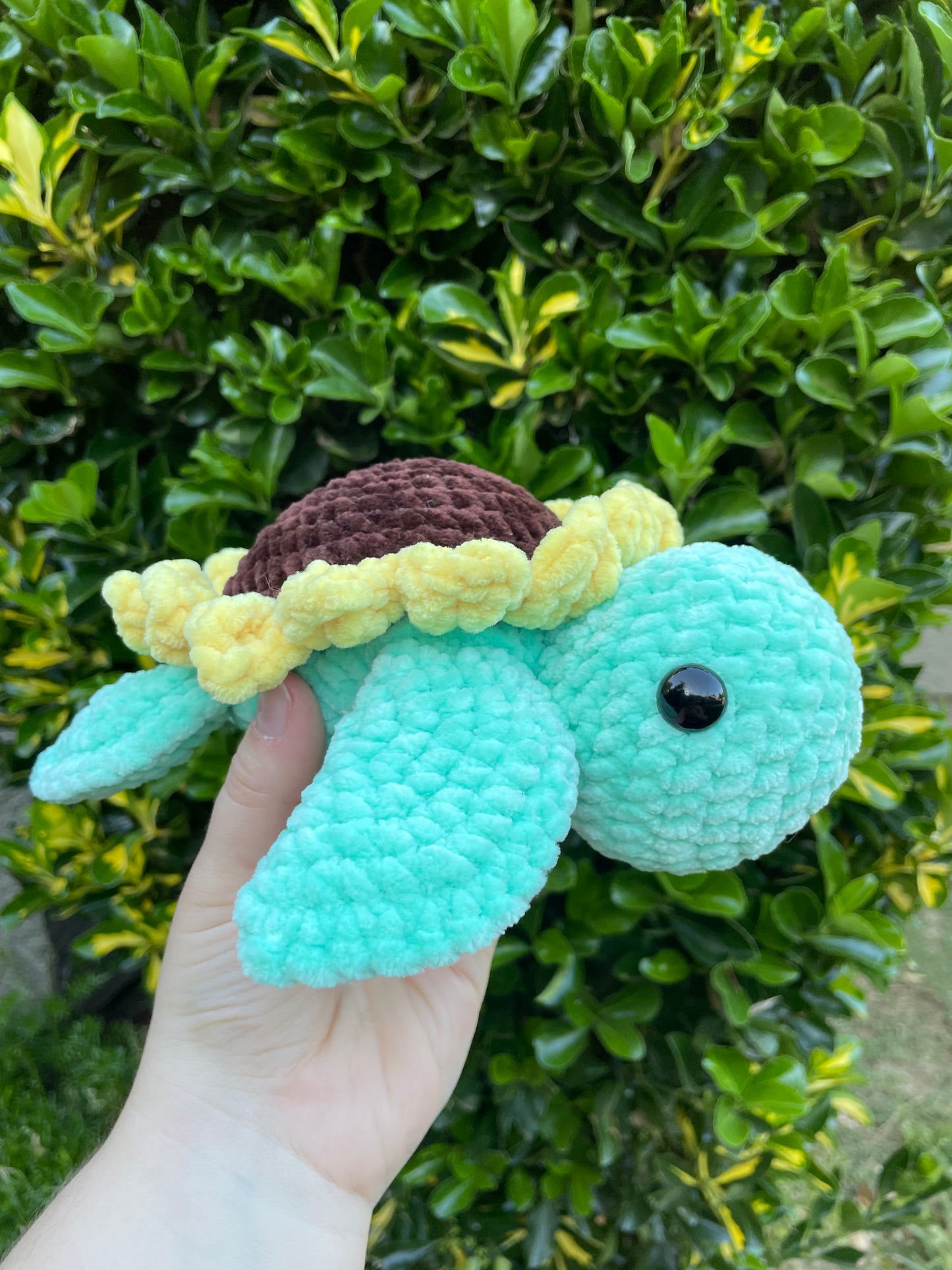 Medium Sunflower Turtle