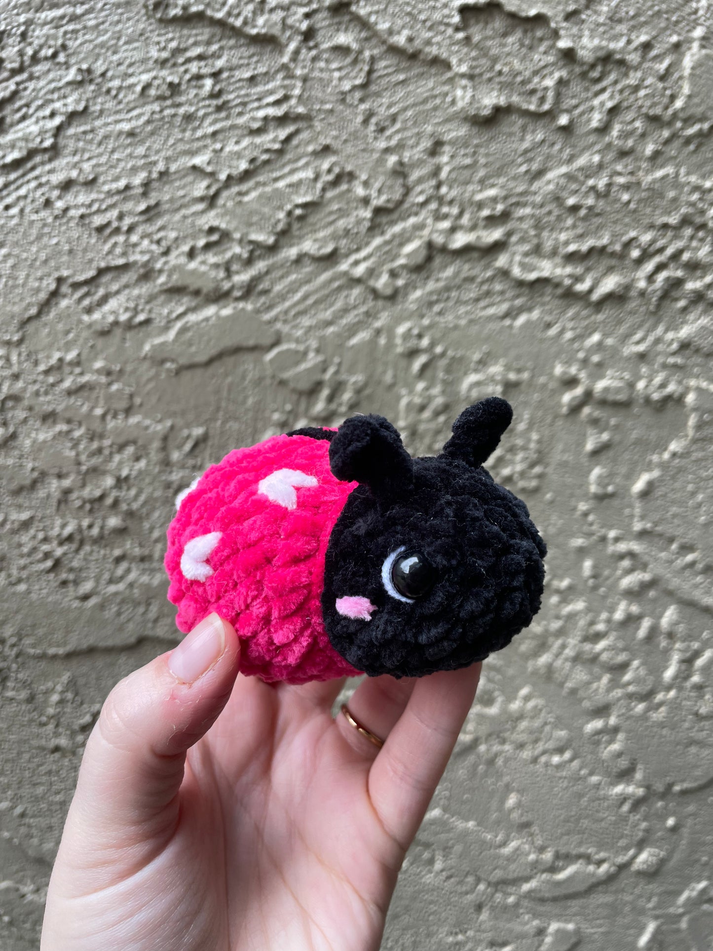 Ladybug