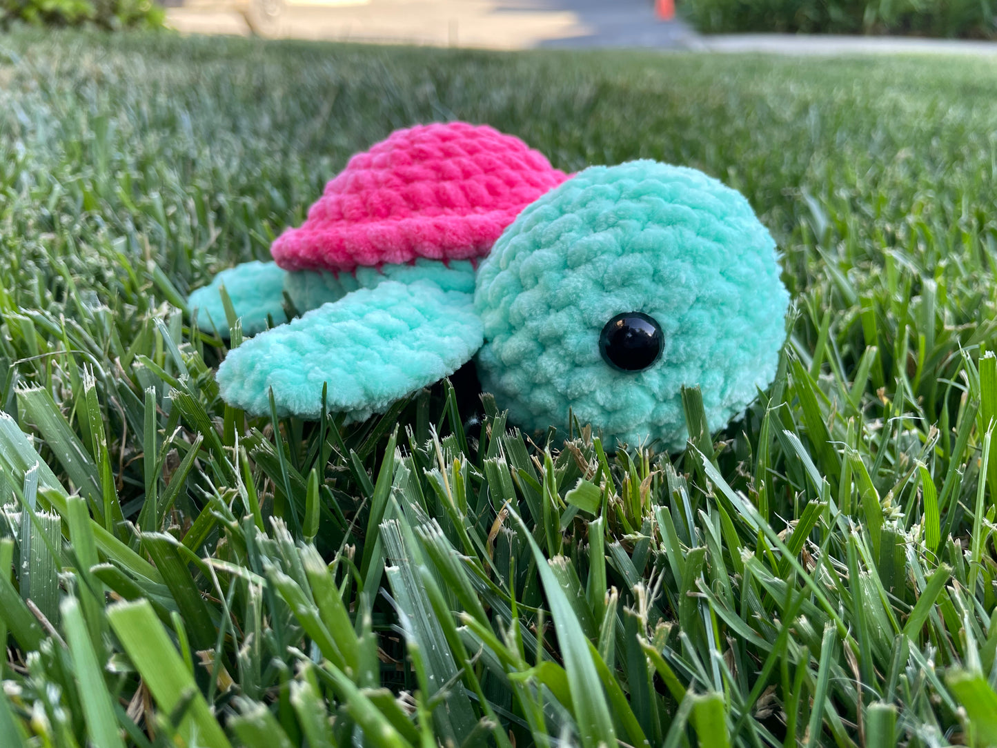 Small Turtle