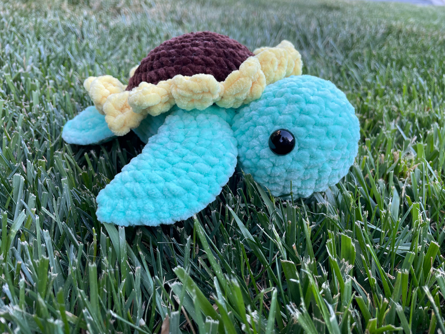 Small Sunflower Turtle
