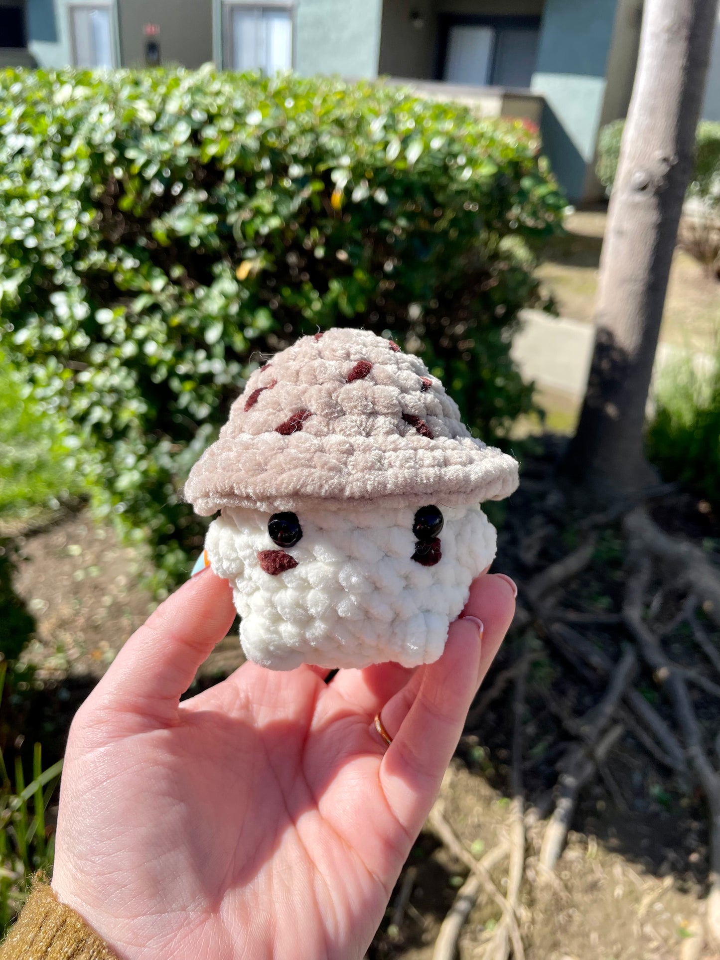 Chocolate Chip Chonky Boi